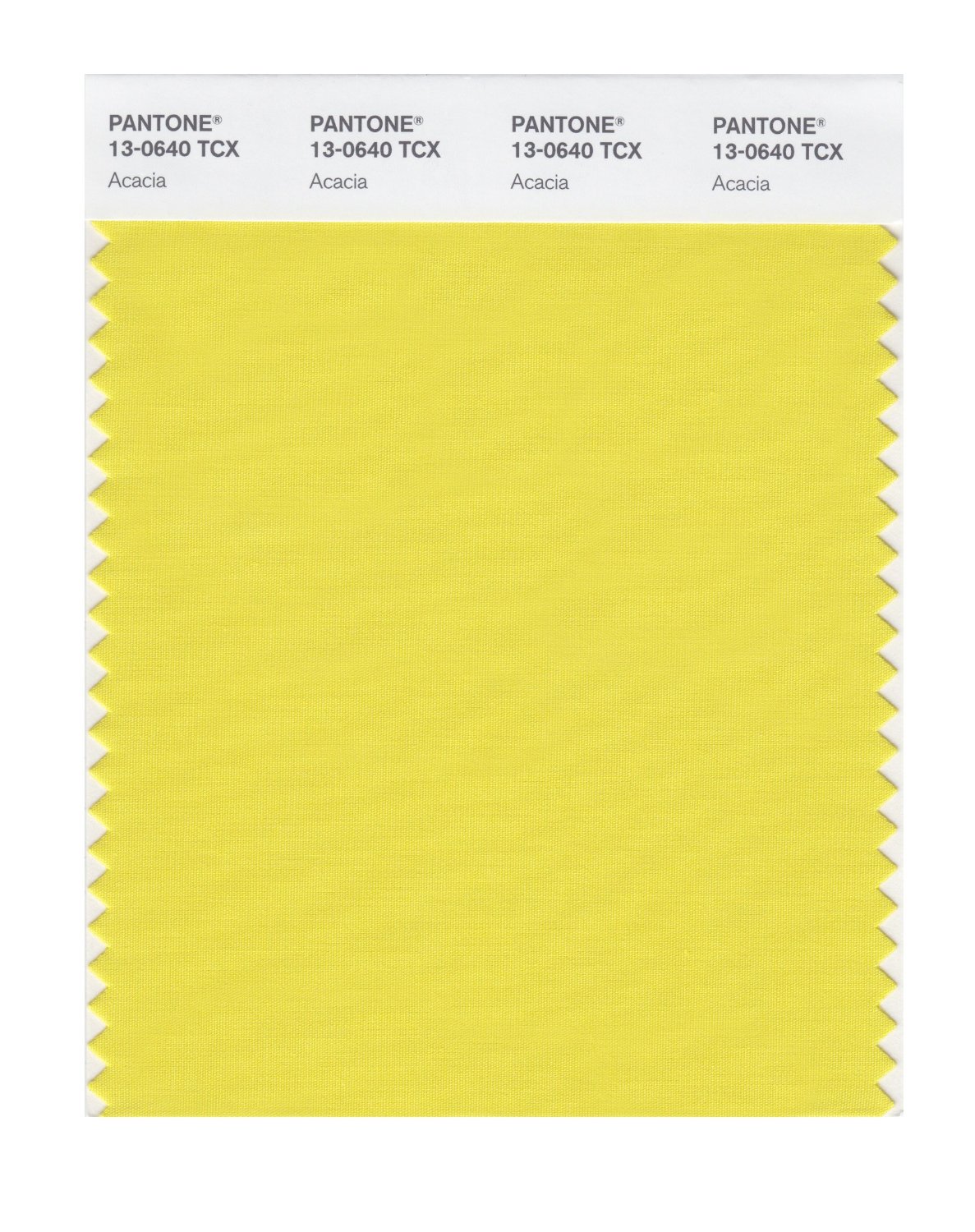 Pantone Cotton Swatch 13-0640 Acacia