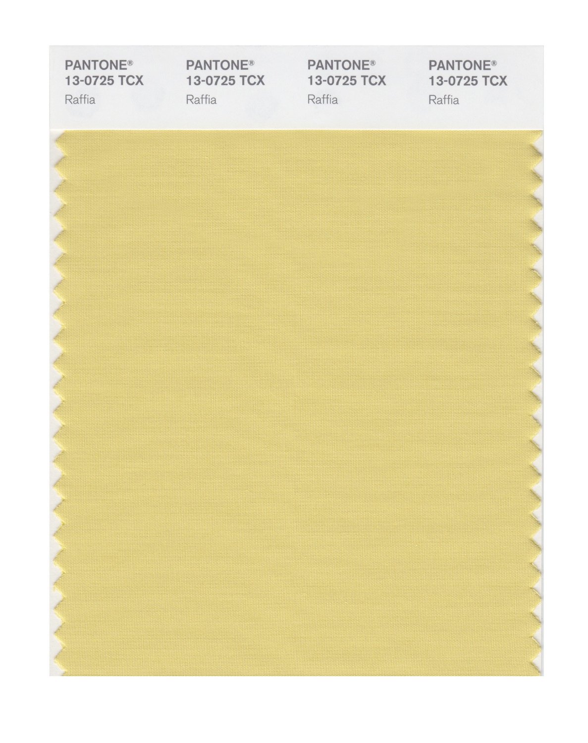 Pantone Cotton Swatch 13-0725 Raffia