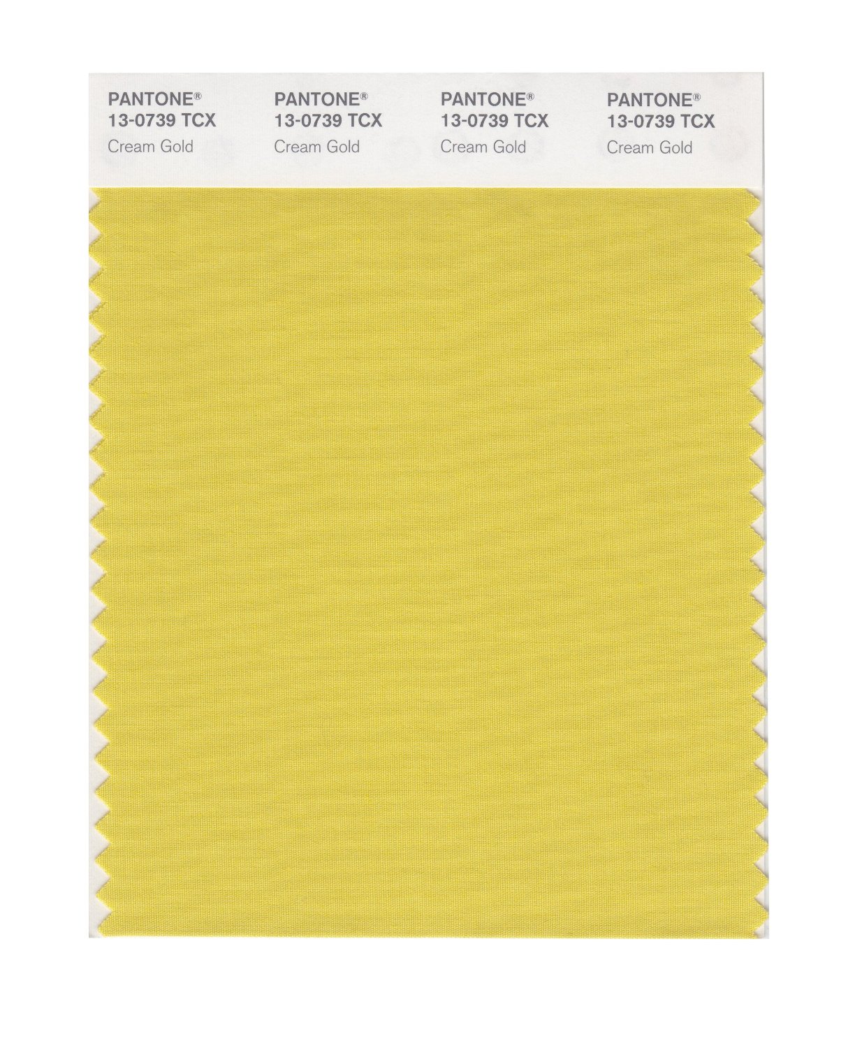 Pantone Cotton Swatch 13-0739 Cream Gold