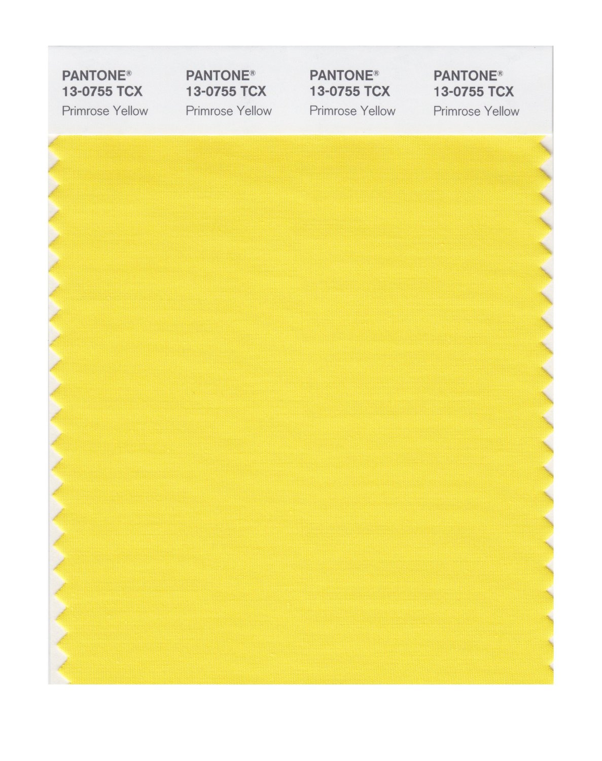 Pantone Cotton Swatch 13-0755 Primrose Yellow