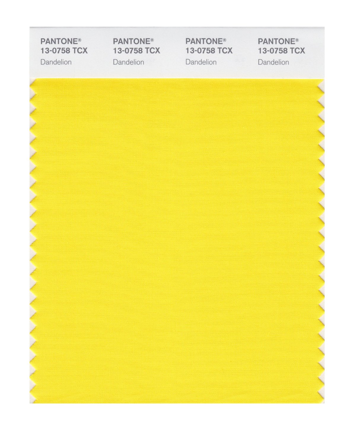 Pantone Cotton Swatch 13-0758 Dandelion