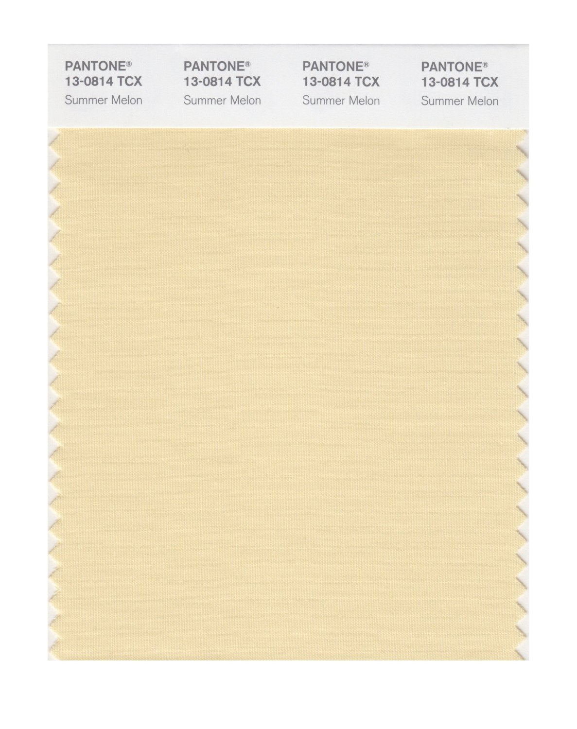 Pantone Cotton Swatch 13-0814 Summer Melon