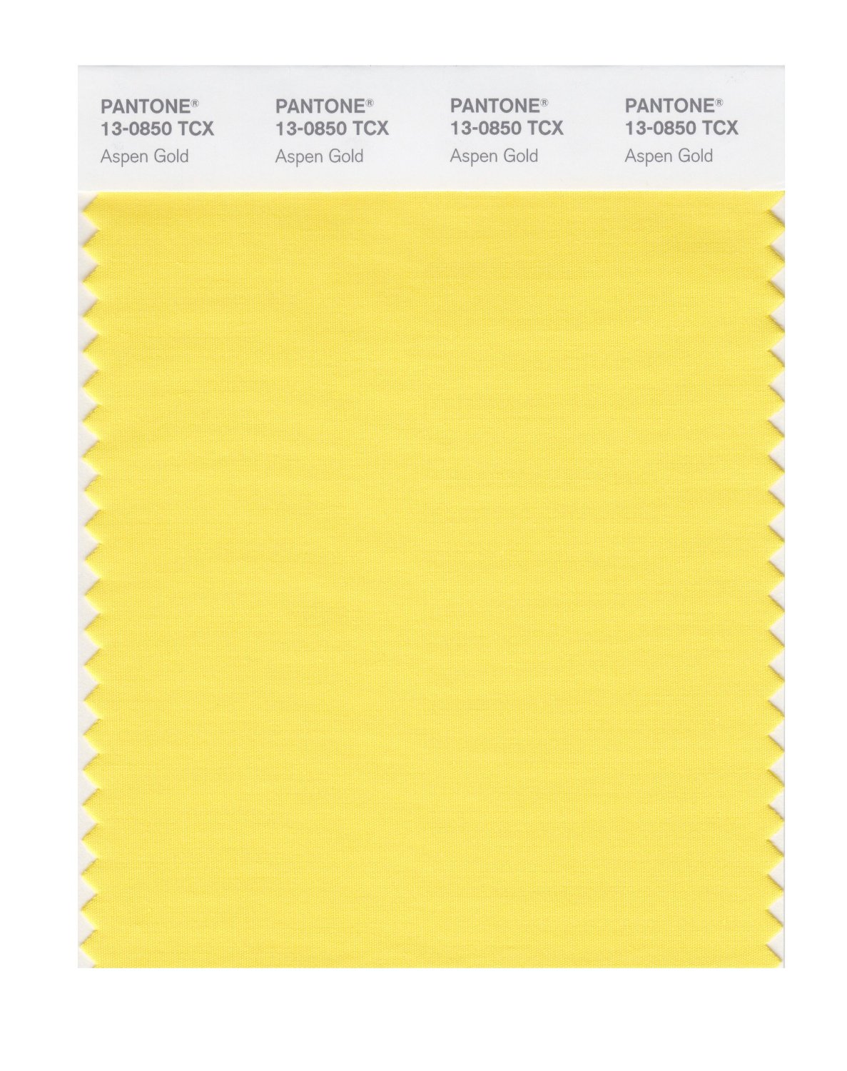 Pantone Cotton Swatch 13-0850 Aspen Gold