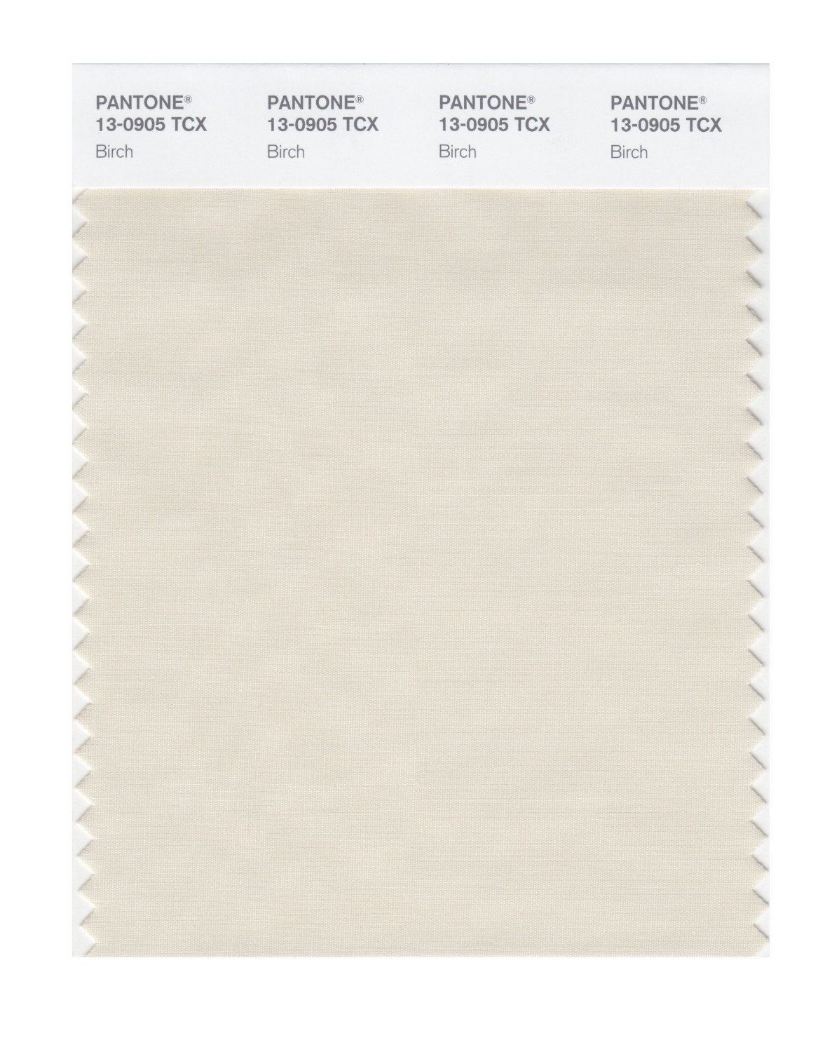 Pantone Cotton Swatch 13-0905 Birch