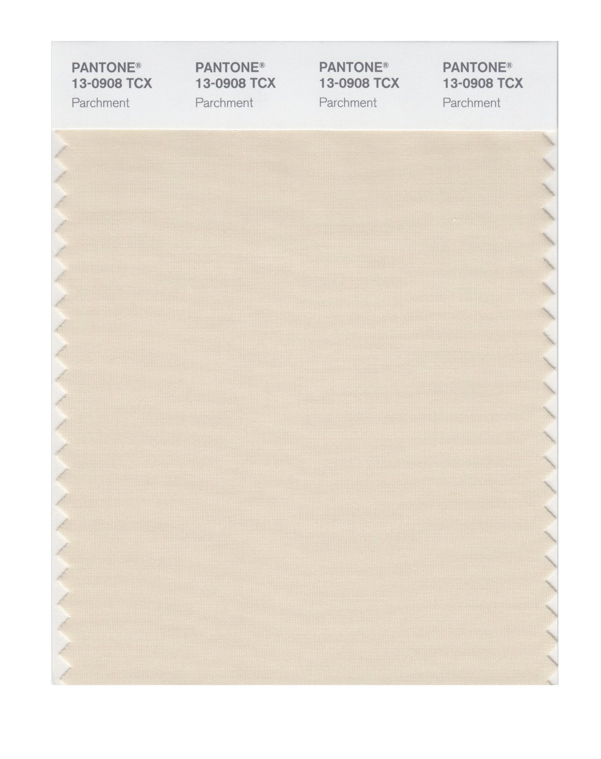 Pantone Cotton Swatch 13-0908 Parchment