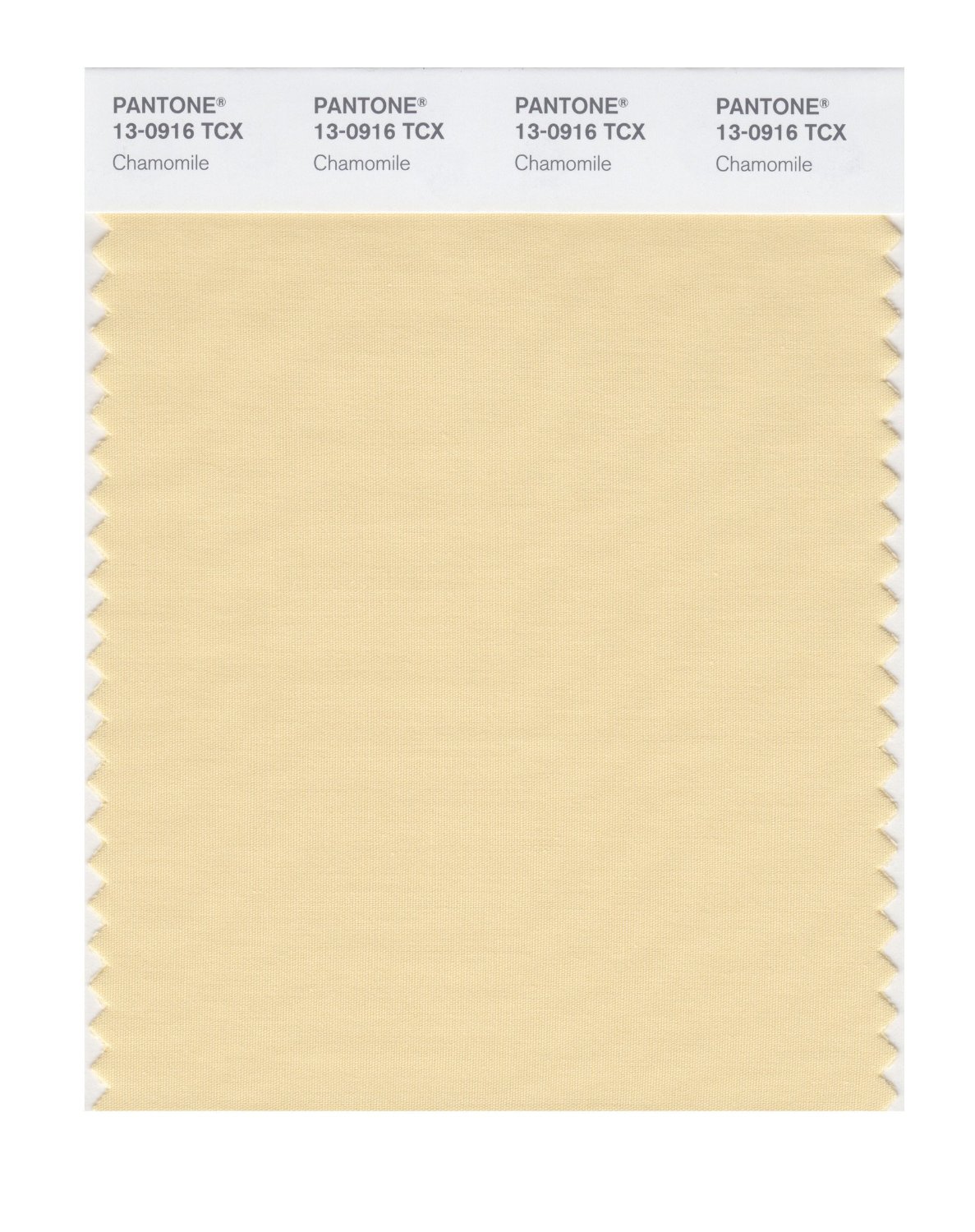 Pantone Cotton Swatch 13-0916 Chamomille