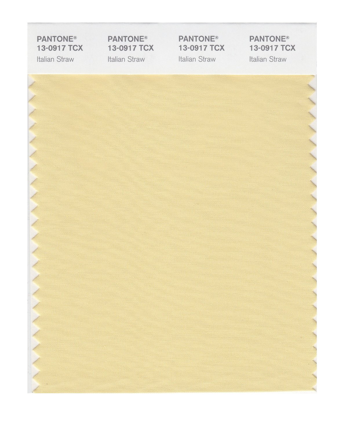 Pantone Cotton Swatch 13-0917 Italian Straw