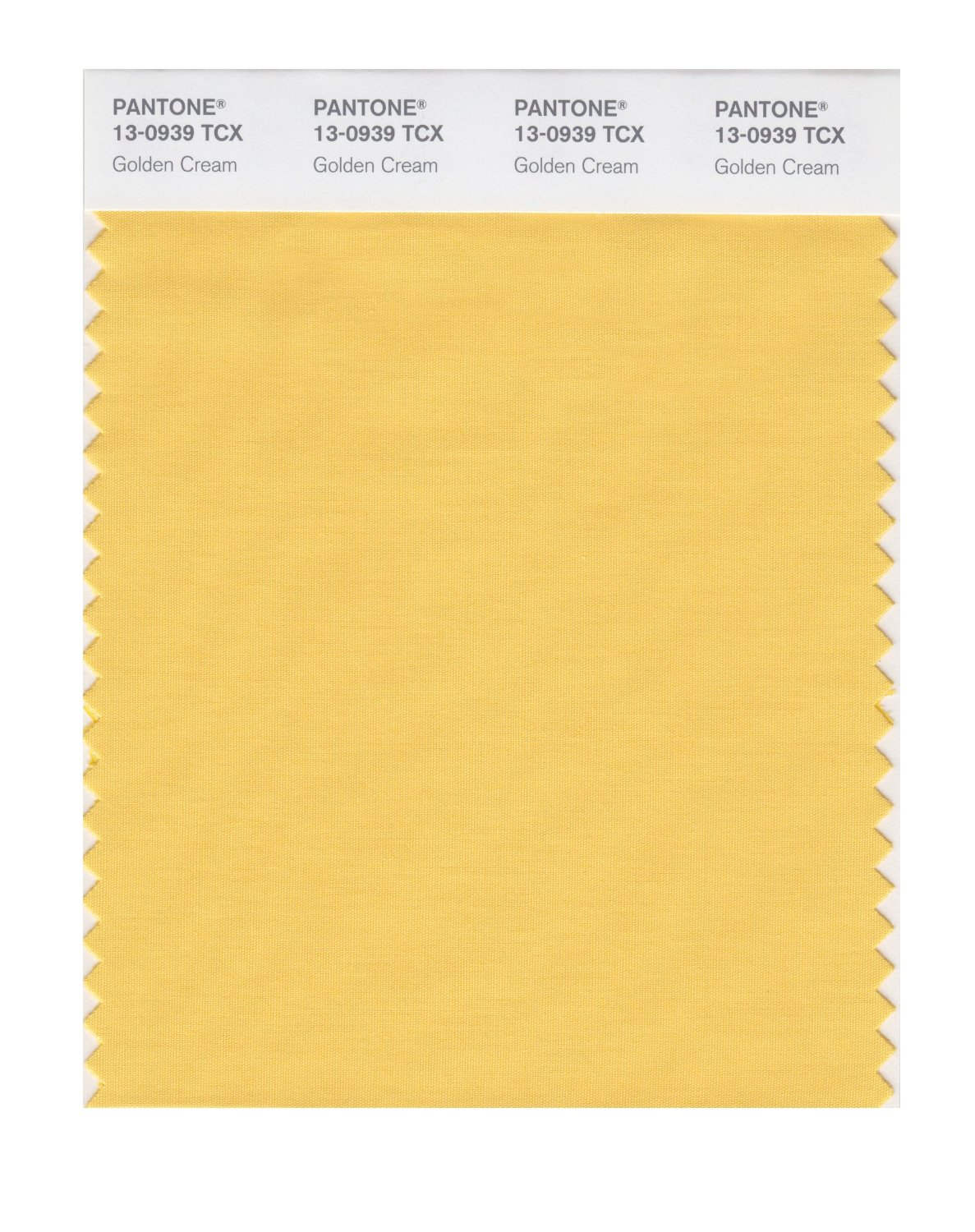 Pantone Cotton Swatch 13-0939 Golden Cream