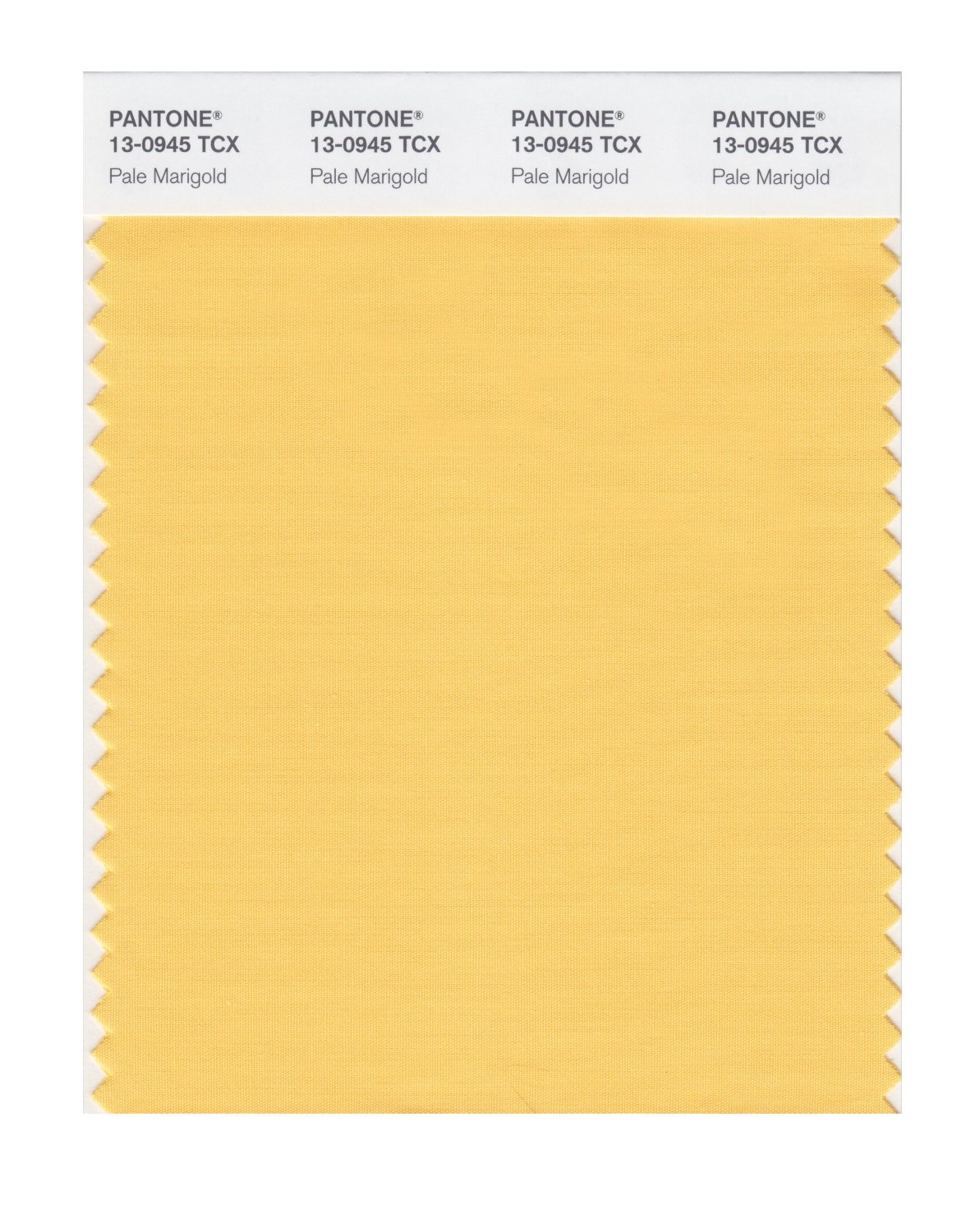 Pantone Cotton Swatch 13-0945 Pale Marigold