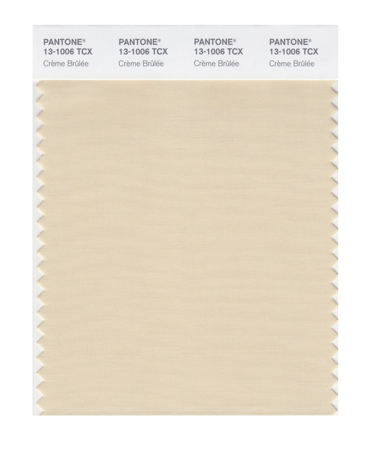 Pantone Cotton Swatch 13-1006 Creme Brulee