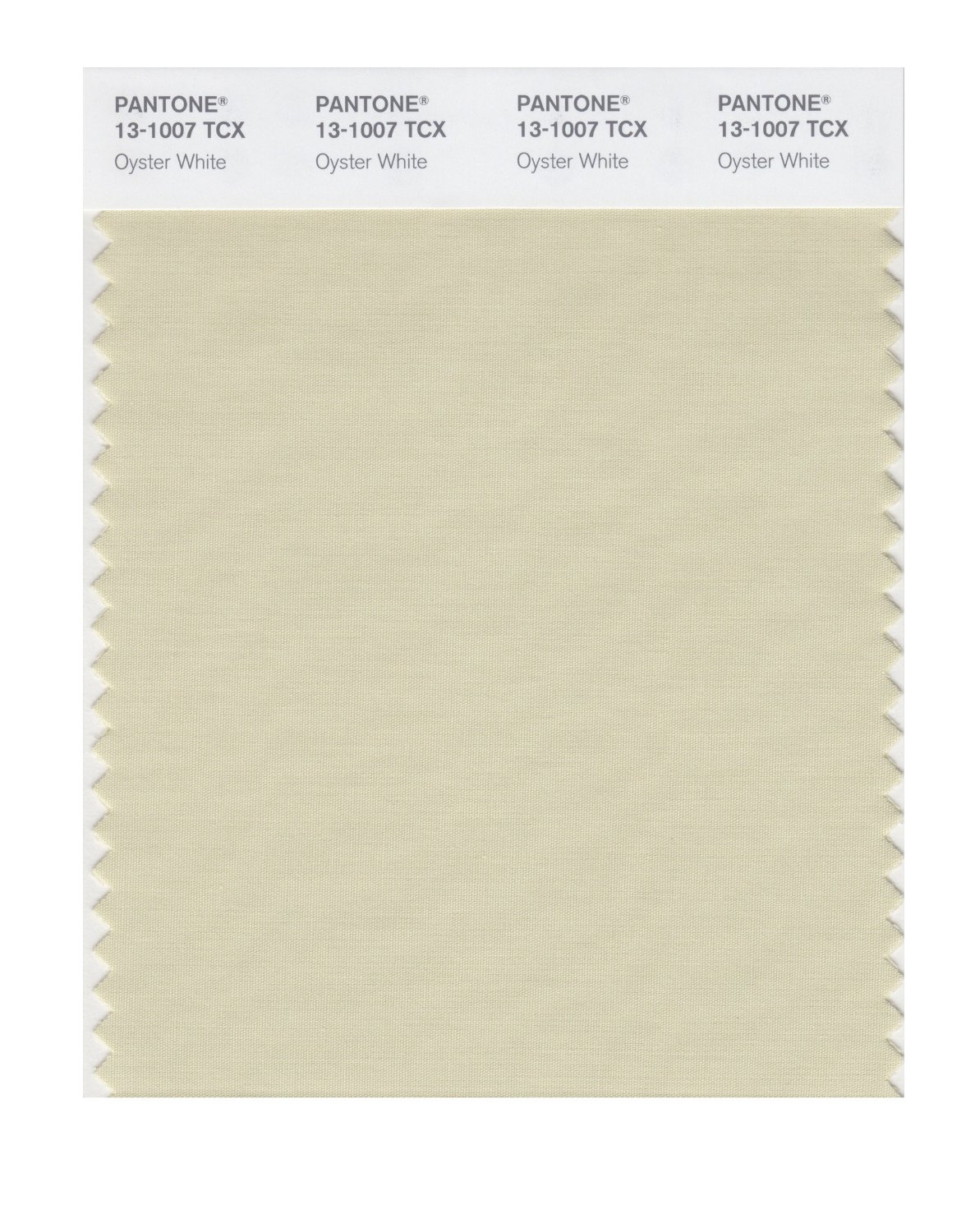 Pantone Cotton Swatch 13-1007 Oyster White