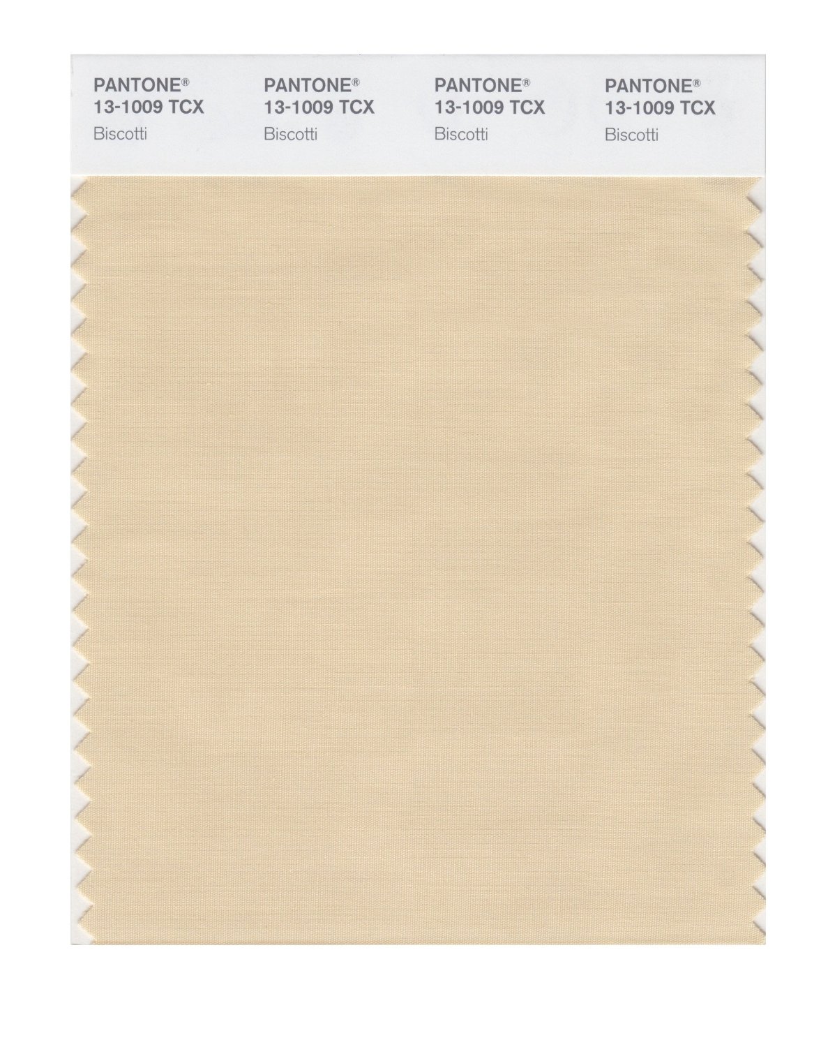 Pantone Cotton Swatch 13-1009 Biscotti