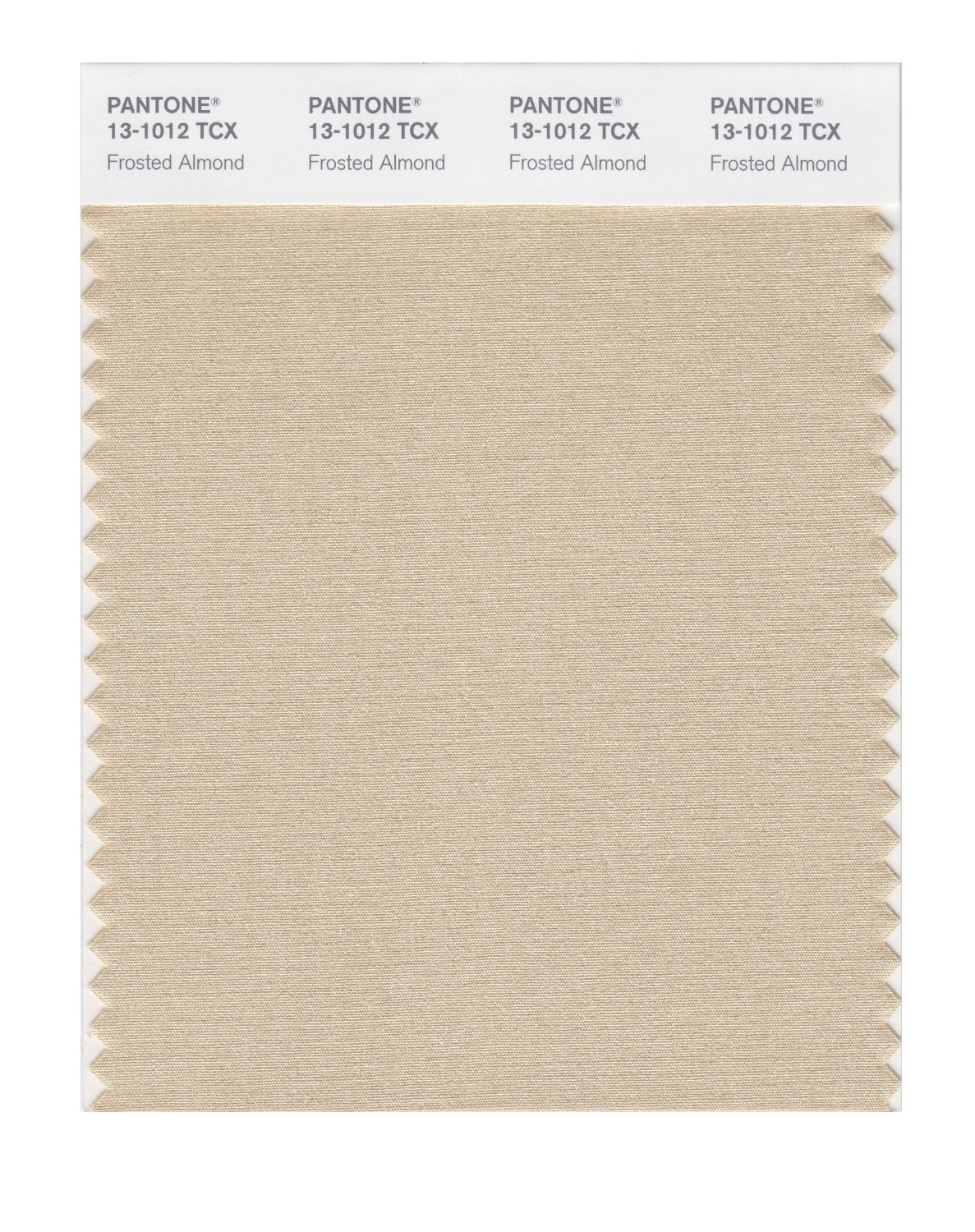 Pantone Cotton Swatch 13-1012 Frosted Almond