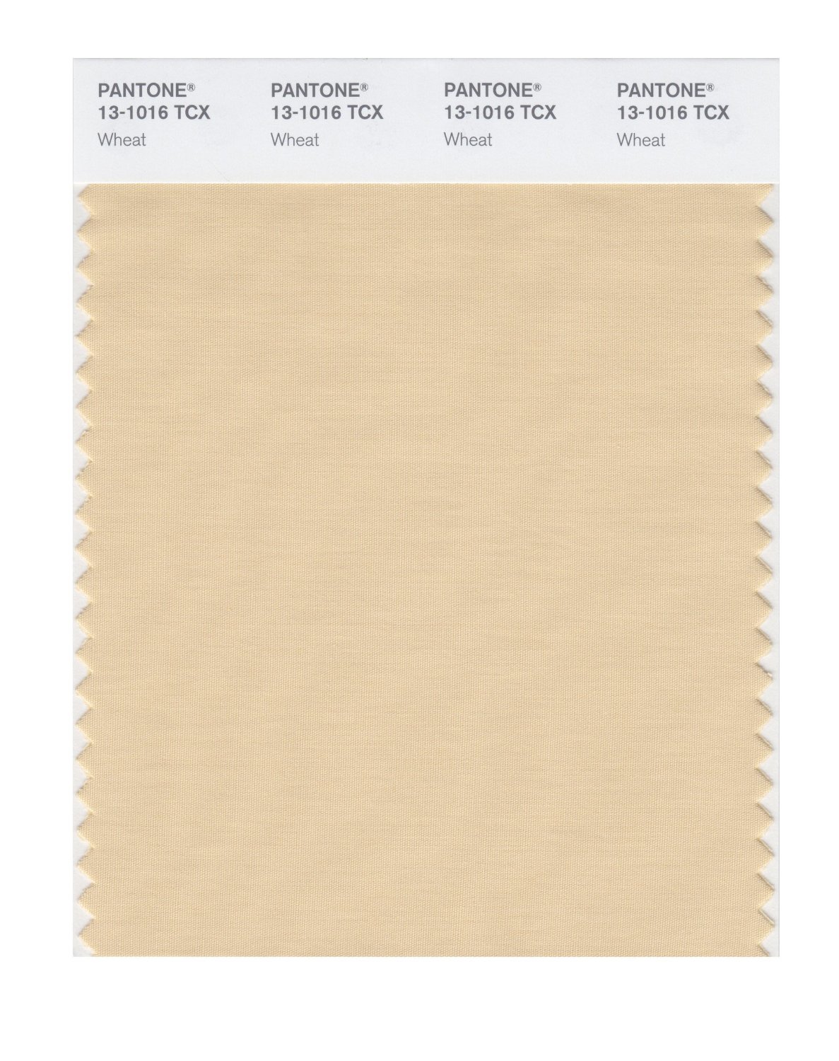 Pantone Cotton Swatch 13-1016 Wheat