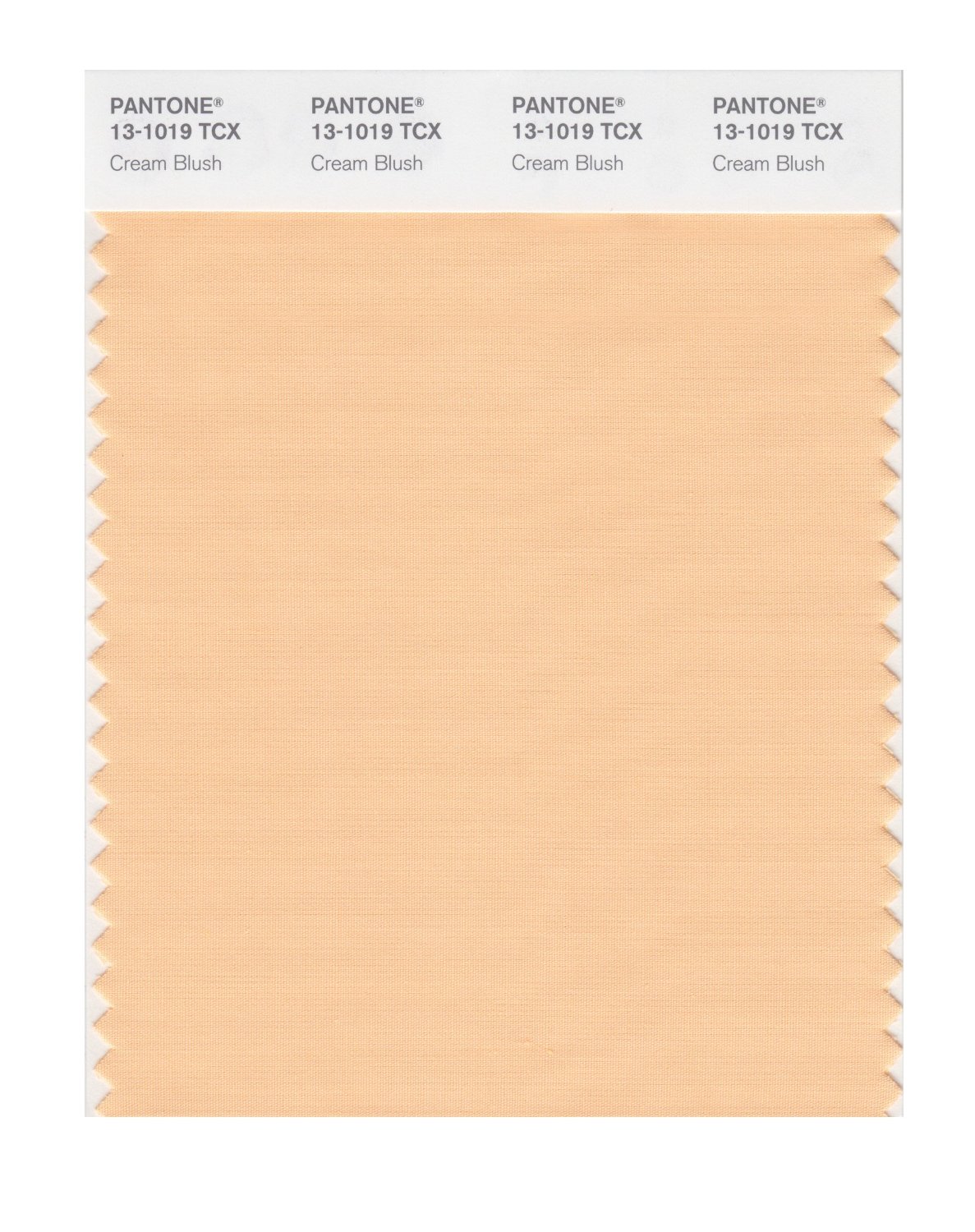 Pantone Cotton Swatch 13-1019 Cream Blush