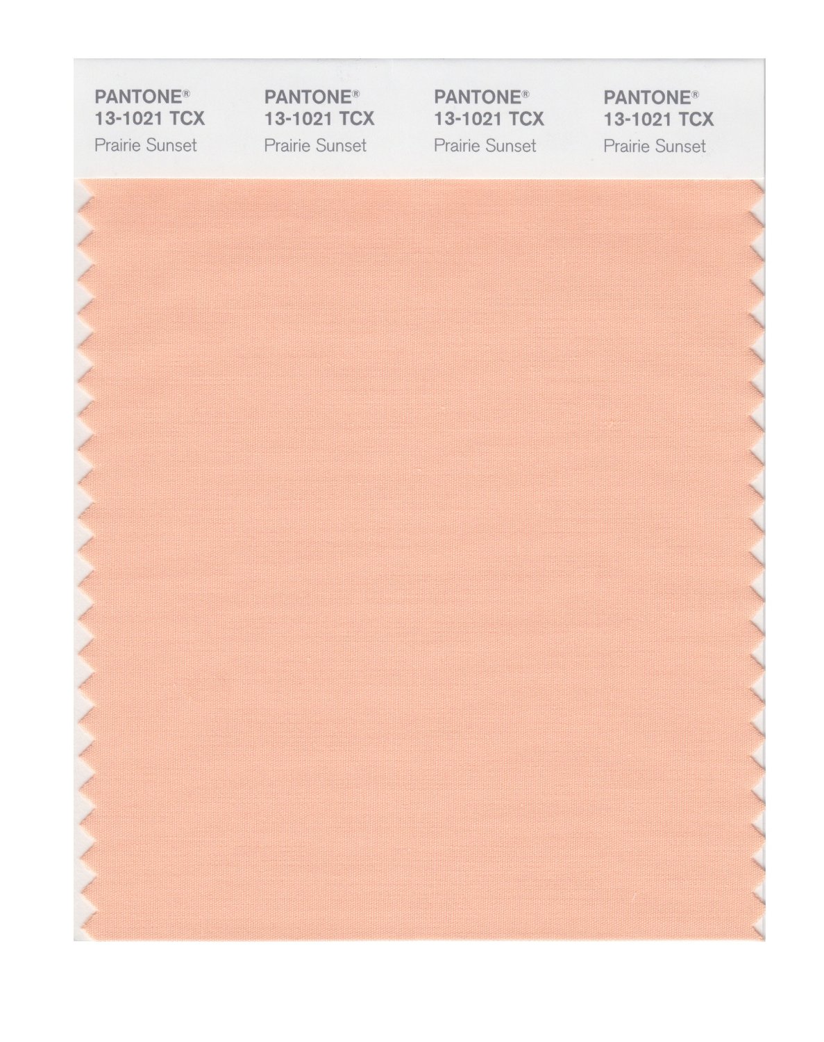 Pantone Cotton Swatch 13-1021 Prairie Sunset