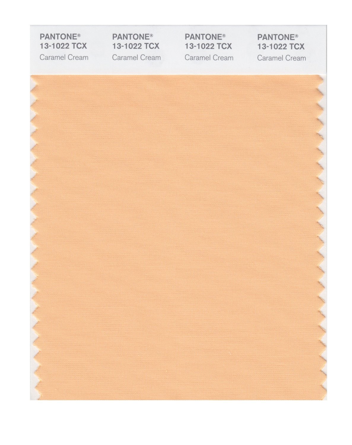 Pantone Cotton Swatch 13-1022 Caramel Cream