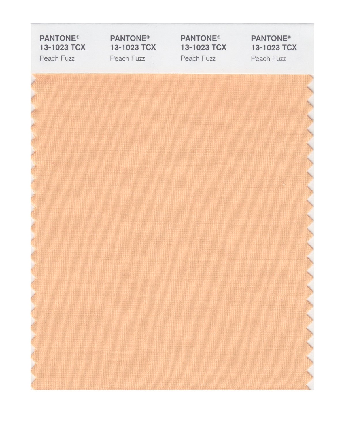 Pantone Cotton Swatch 13-1023 Peach Fuzz