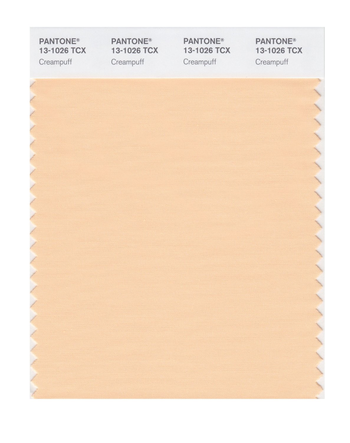 Pantone Cotton Swatch 13-1026 Creampuff