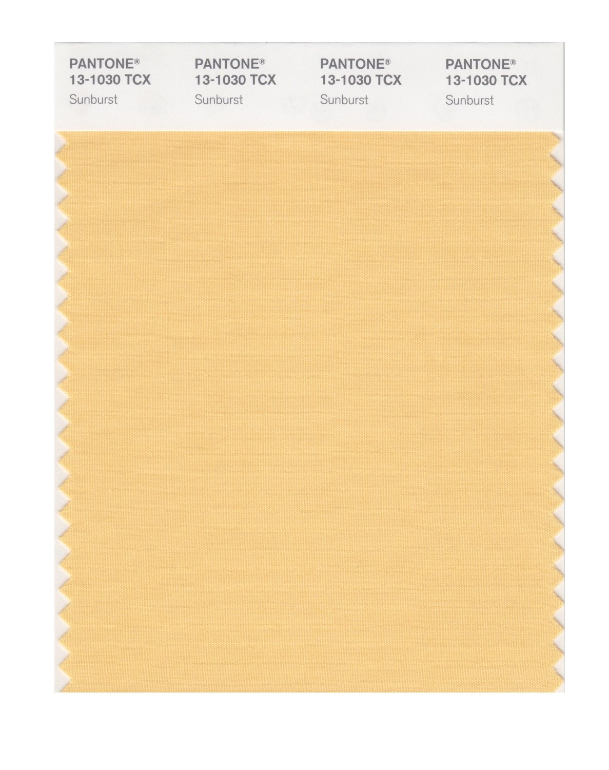 Pantone Cotton Swatch 13-1030 Sunburst