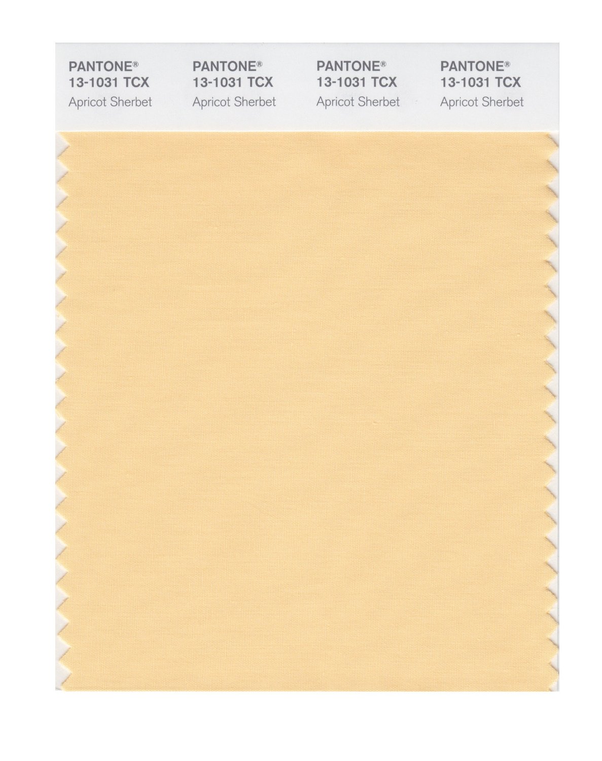 Pantone Cotton Swatch 13-1031 Apricot Sherbet