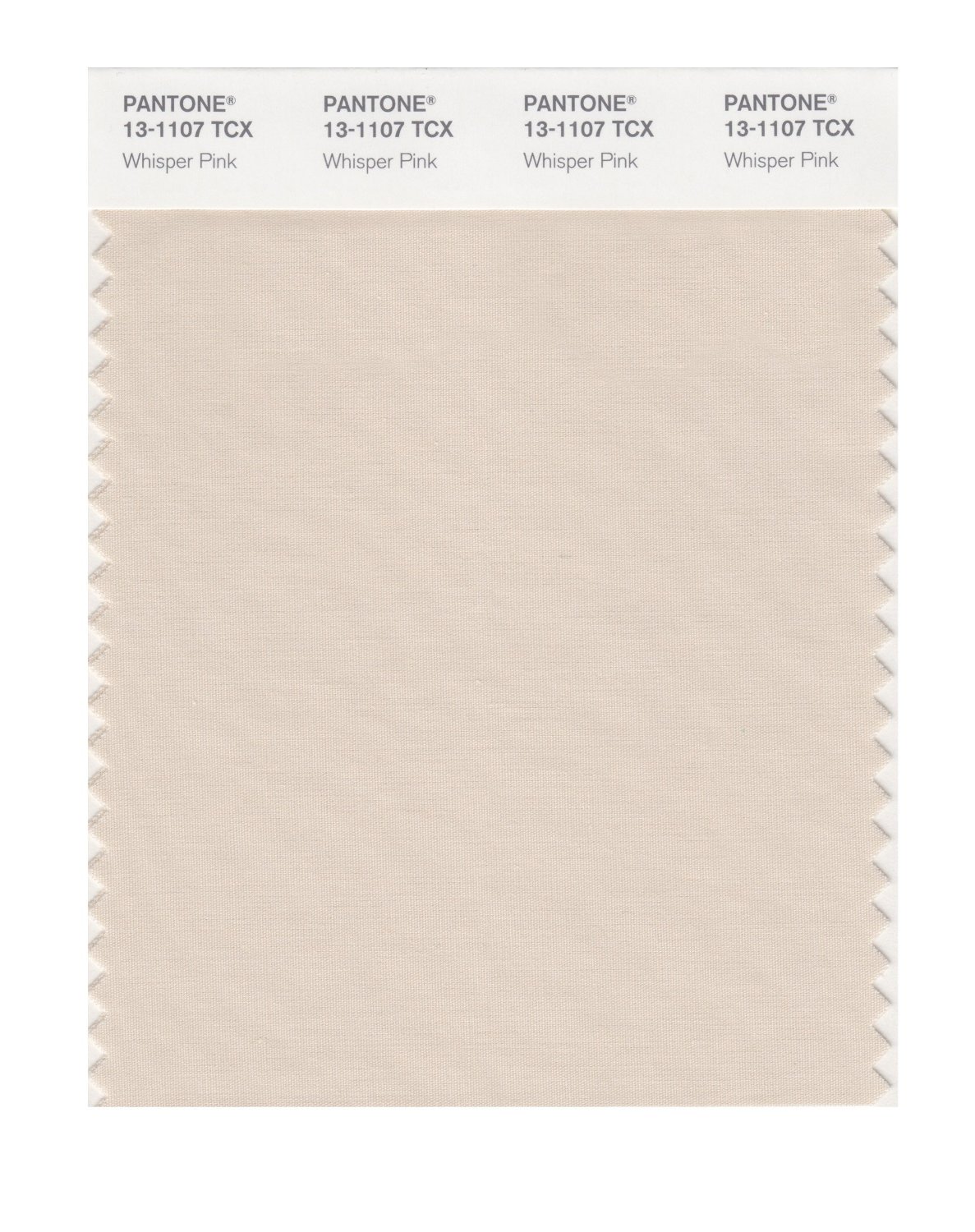 Pantone Cotton Swatch 13-1107 Whisper Pink