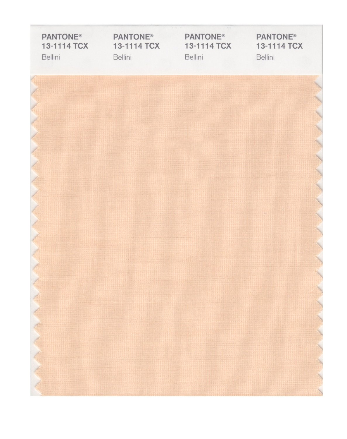 Pantone Cotton Swatch 13-1114 Bellini