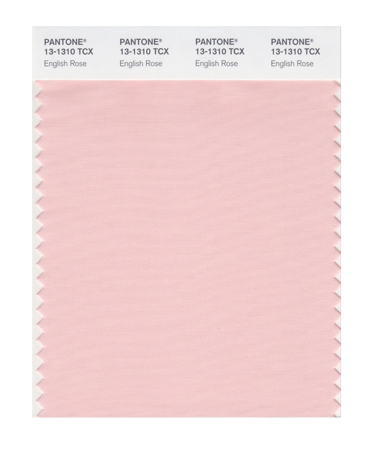 Pantone Cotton Swatch 13-1310 English Rose