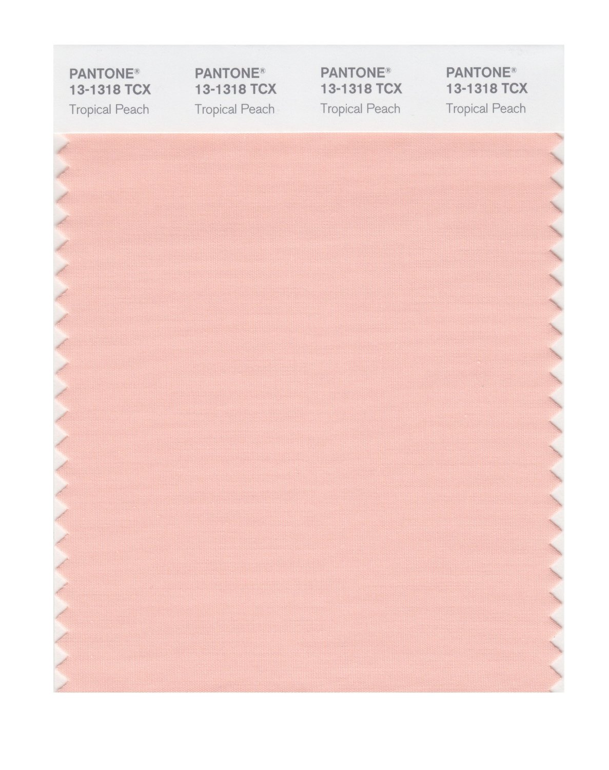 Pantone Cotton Swatch 13-1318 Tropical Peach