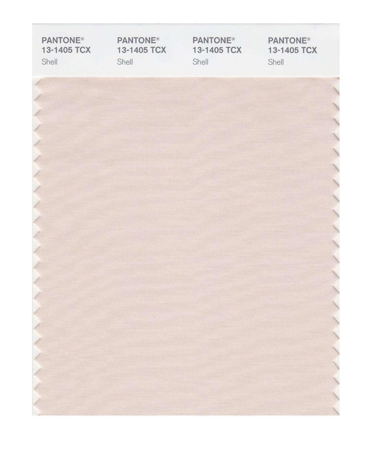 Pantone Cotton Swatch 13-1405 Shell