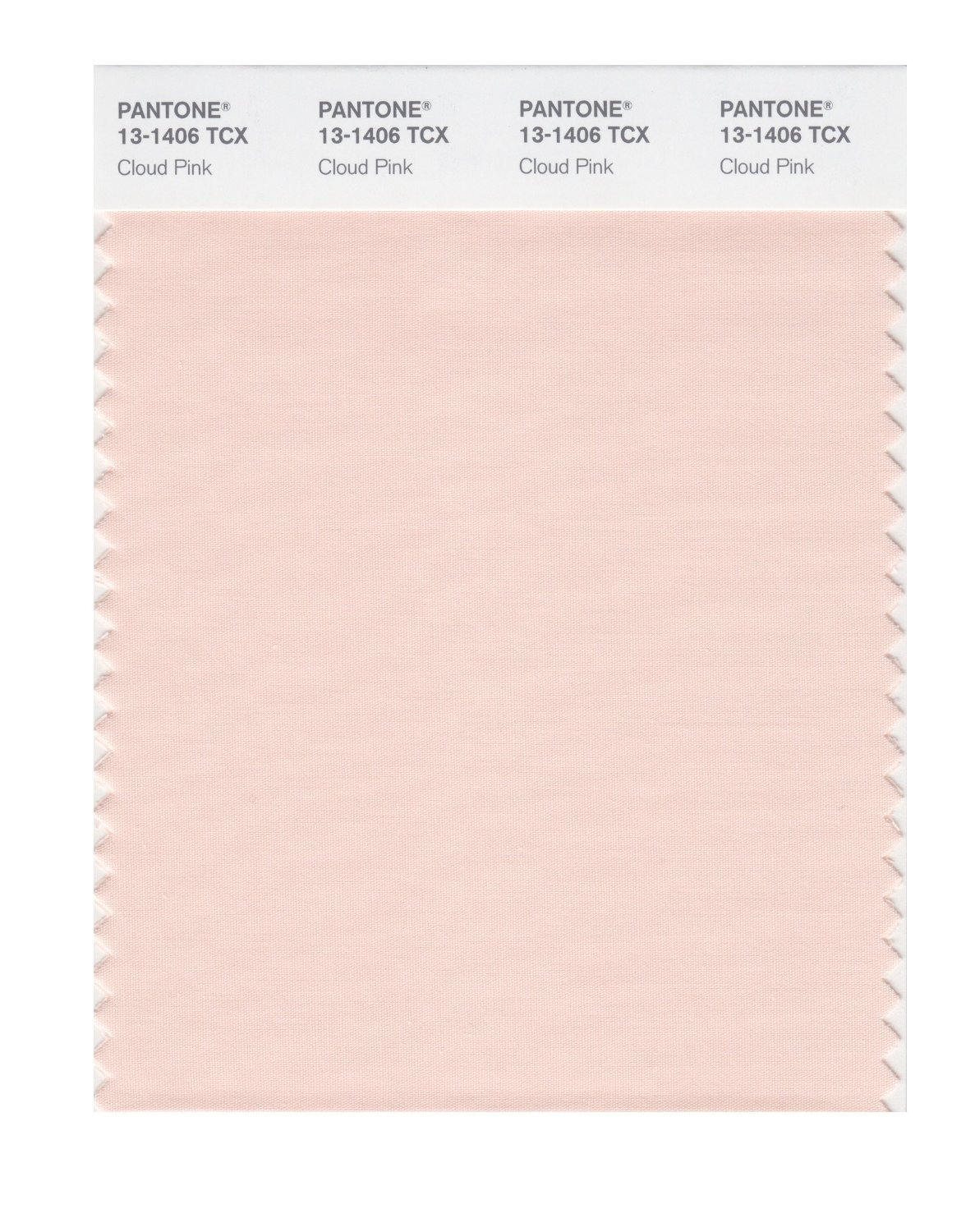 Pantone Cotton Swatch 13-1406 Cloud Pink