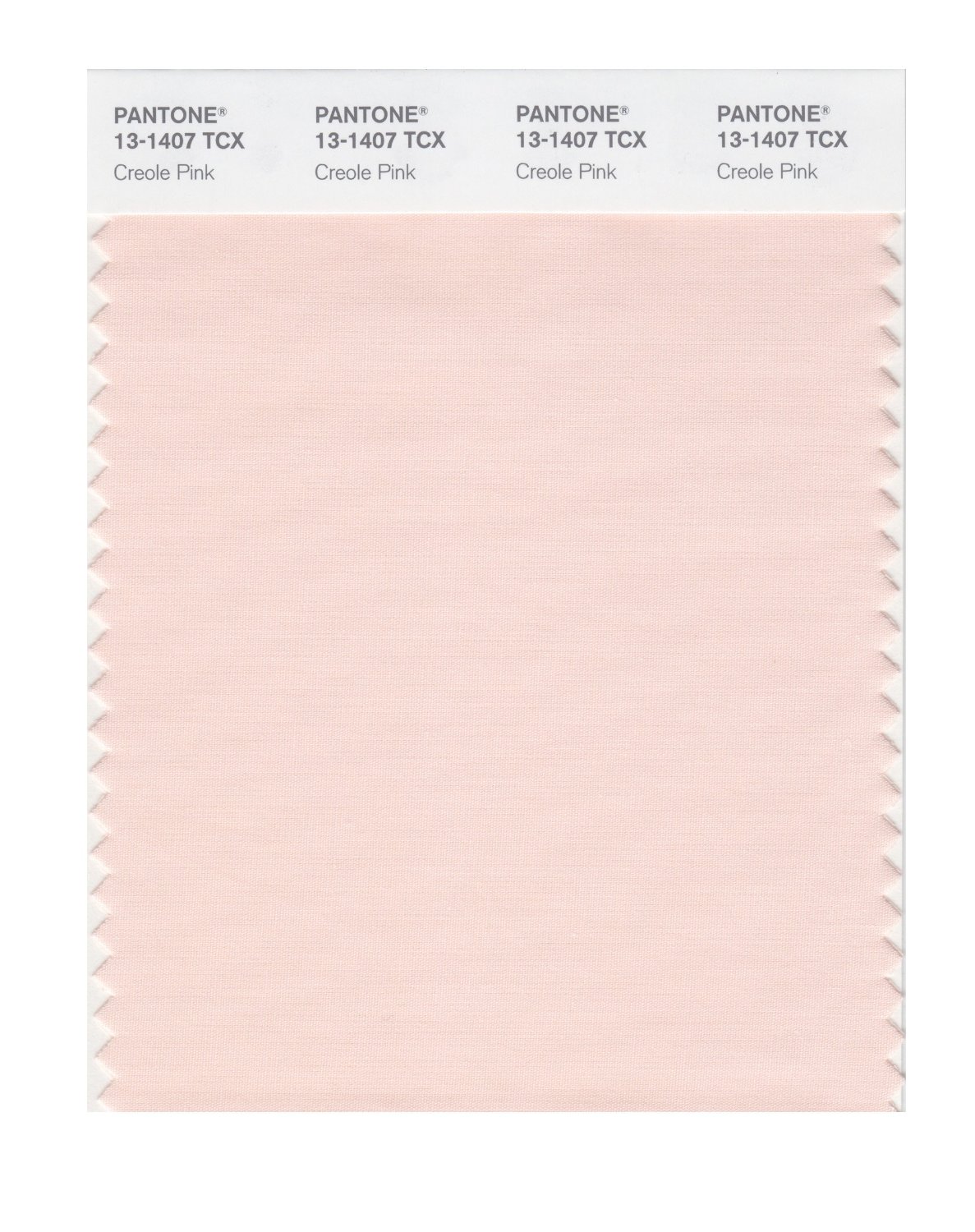 Pantone Cotton Swatch 13-1407 Creole Pink