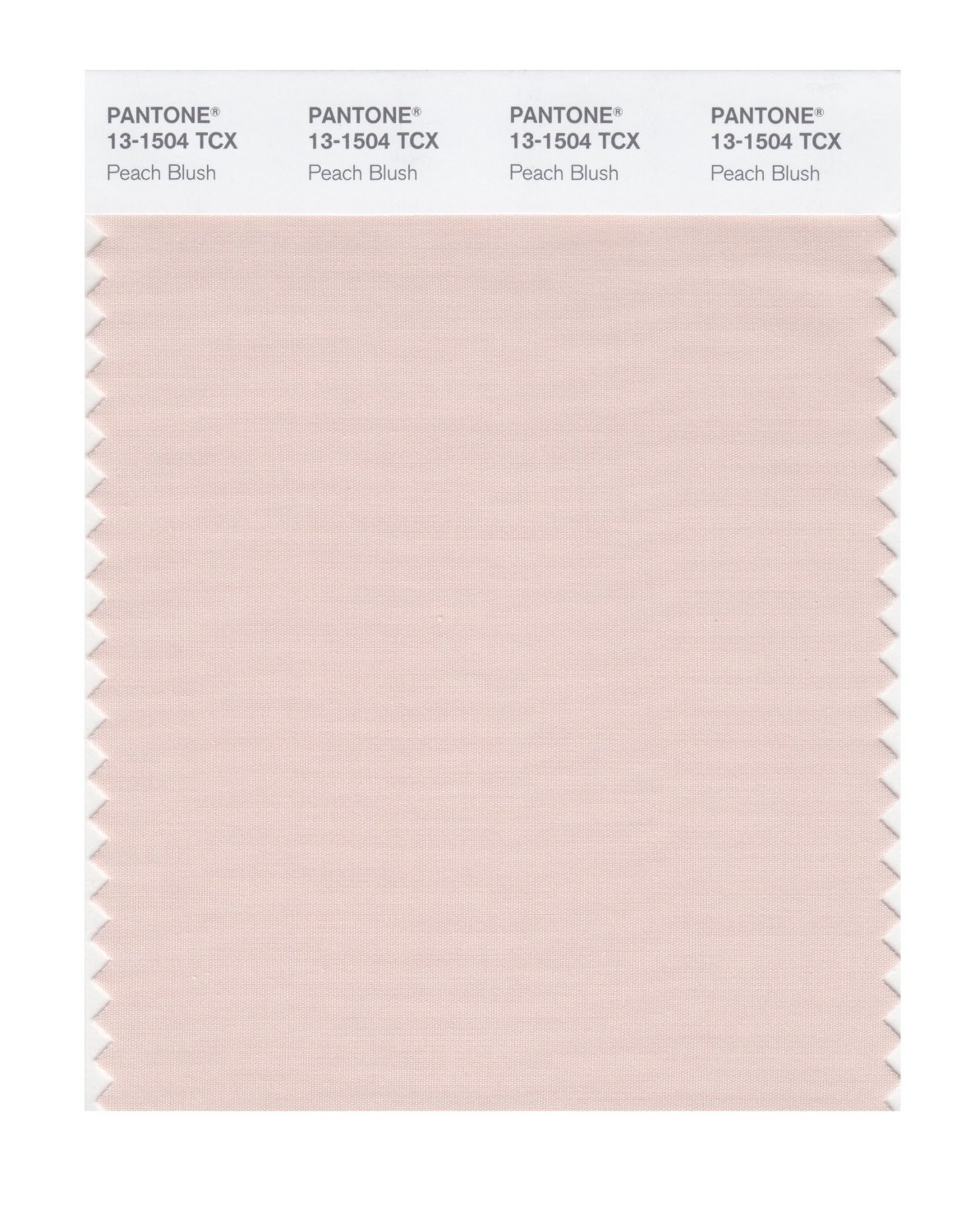 Pantone Cotton Swatch 13-1504 Peach Blush