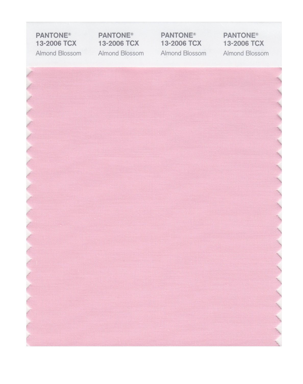 Pantone Cotton Swatch 13-2006 Almond Blossom