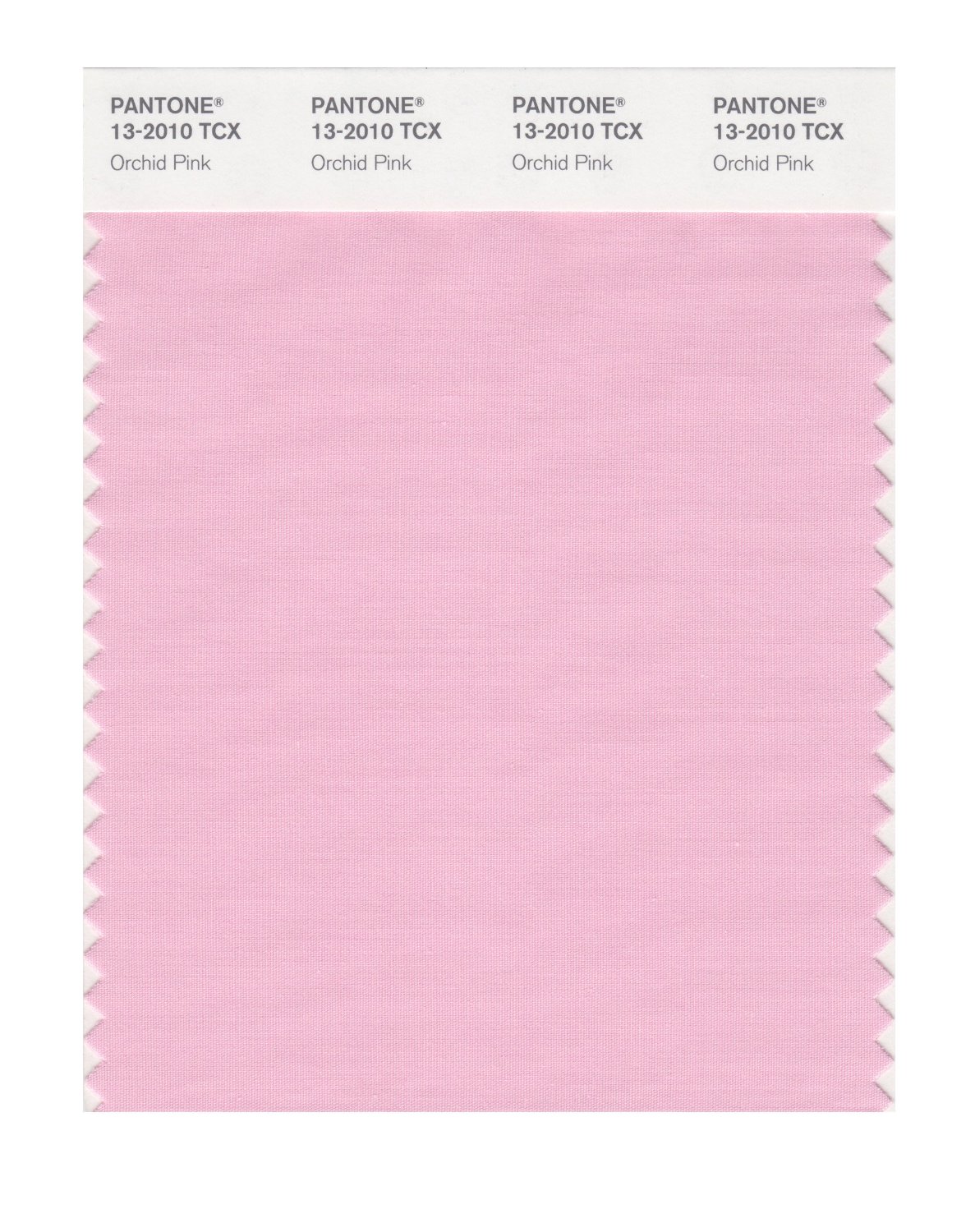 Pantone Cotton Swatch 13-2010 Orchid Pink