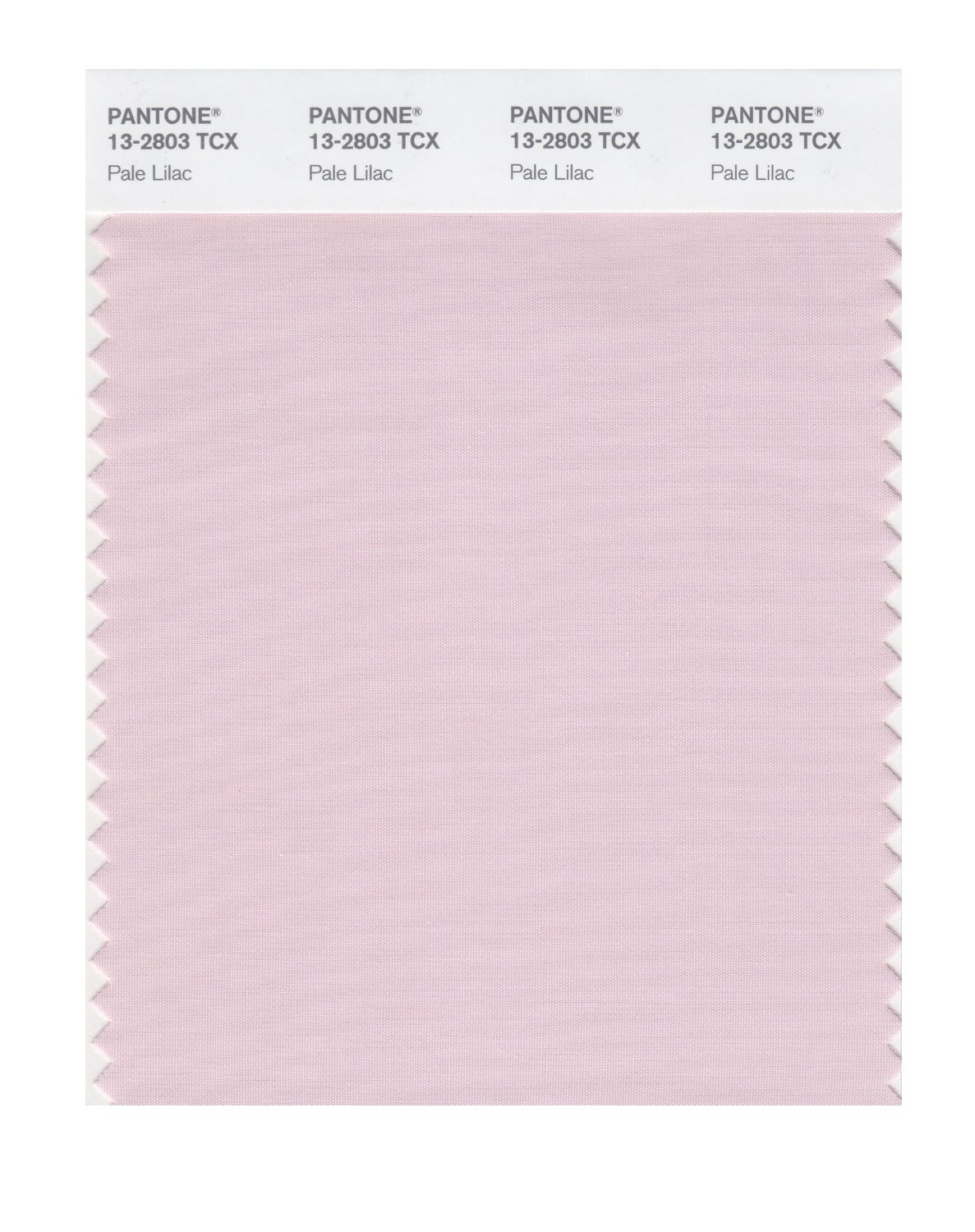 Pantone Cotton Swatch 13-2803 Pale Lilac