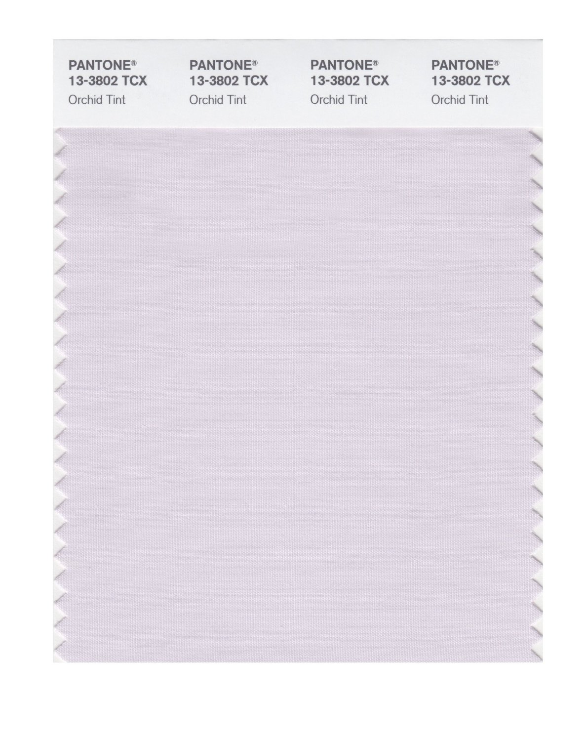 Pantone Cotton Swatch 13-3802 Orchid Tint