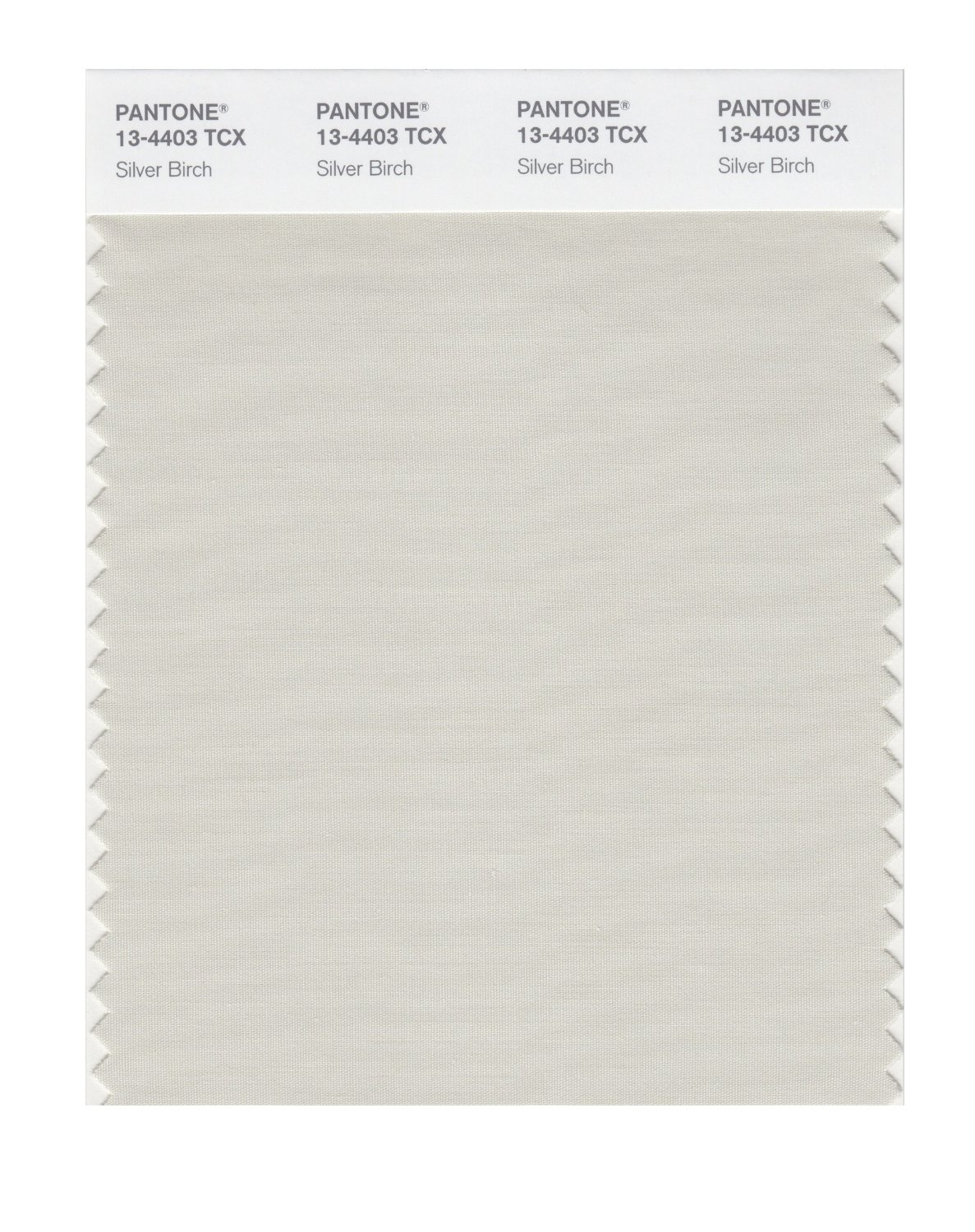 Pantone Cotton Swatch 13-4403 Silver Birch