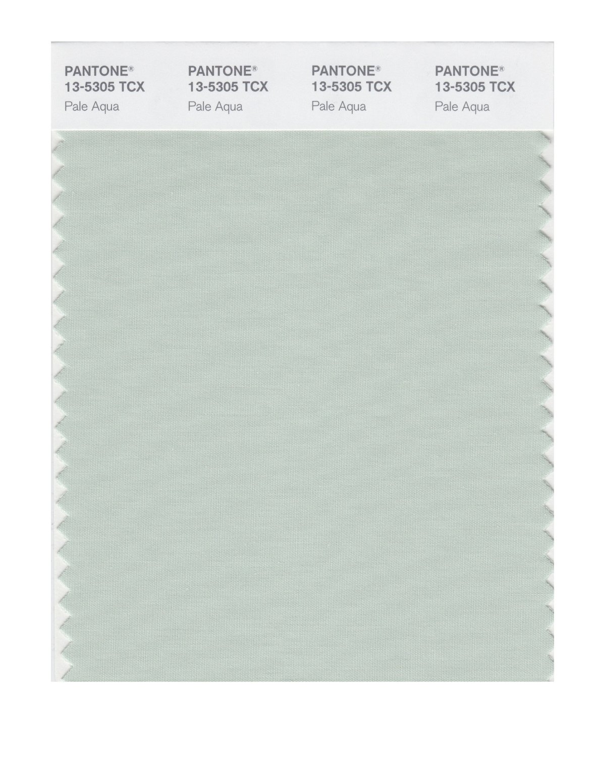 Pantone Cotton Swatch 13-5305 Pale Aqua