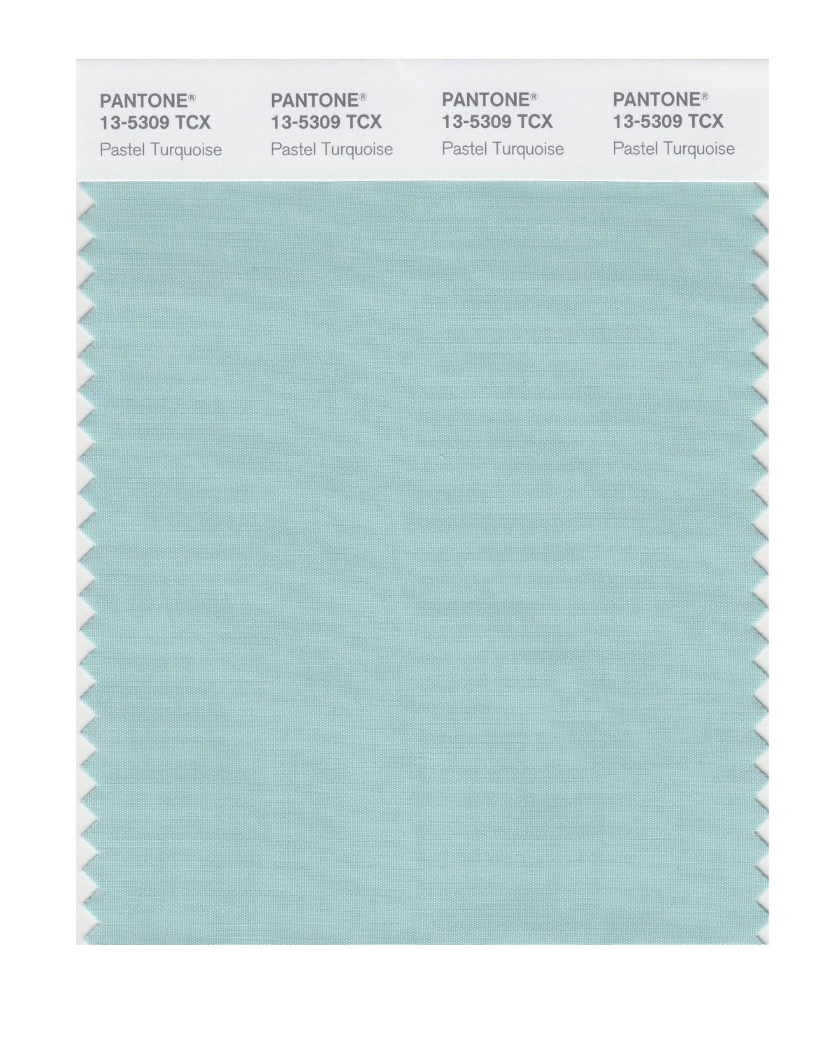 Pantone Cotton Swatch 13-5309 Pastel Turquois