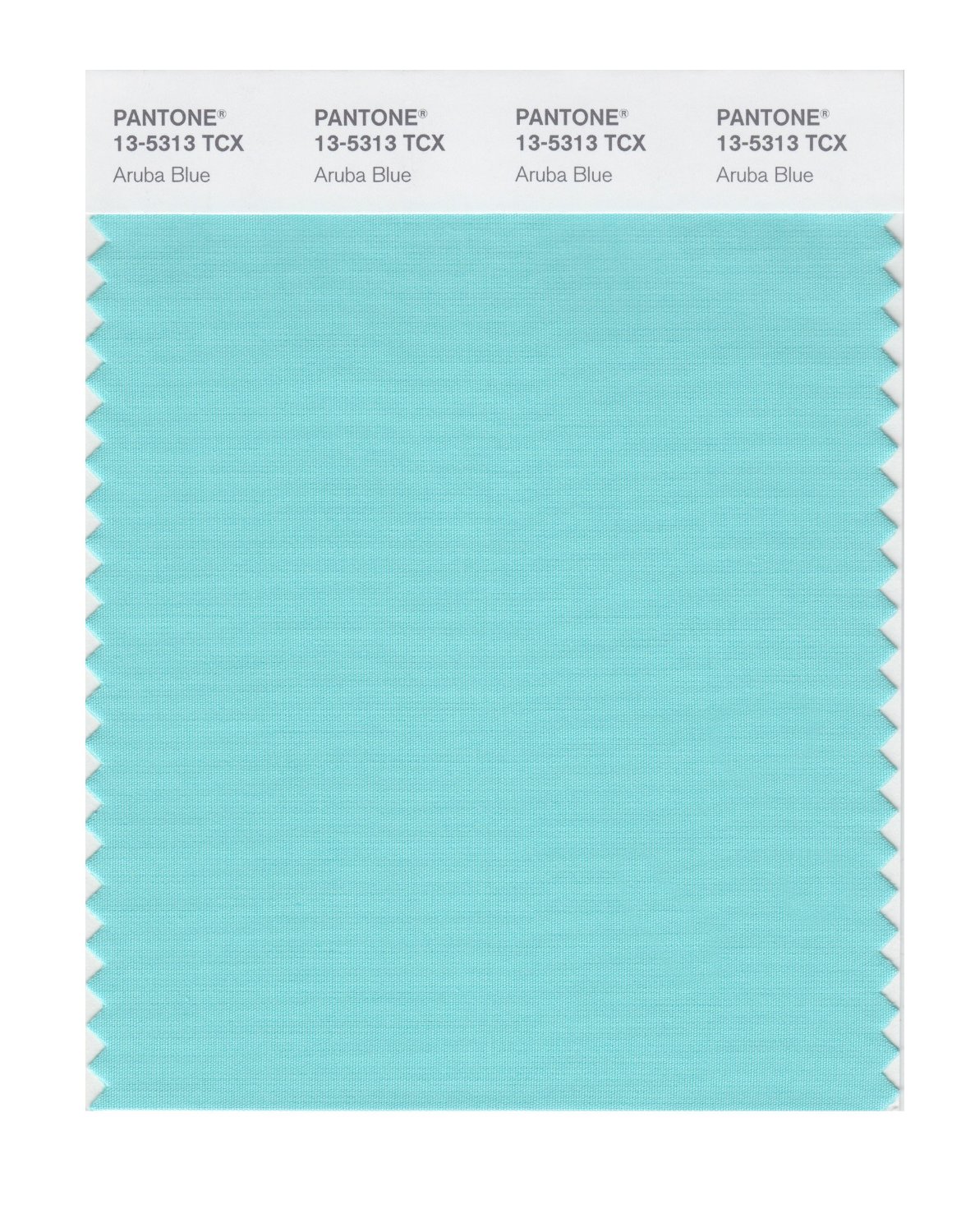 Pantone Cotton Swatch 13-5313 Aruba Blue