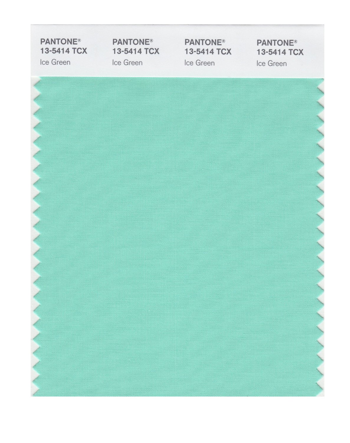 Pantone Cotton Swatch 13-5414 Ice Green