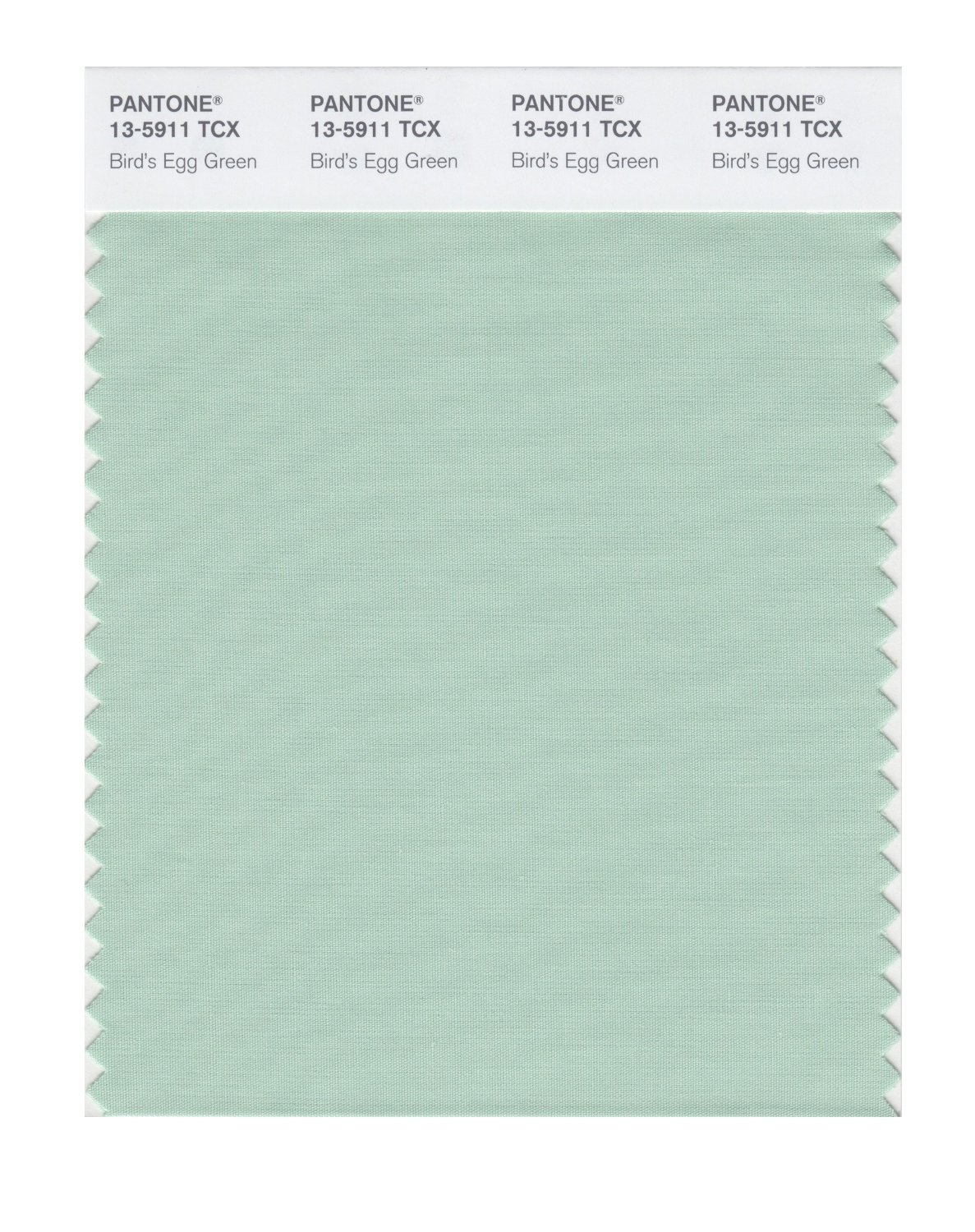 Pantone Cotton Swatch 13-5911 Bird's Egg Gree