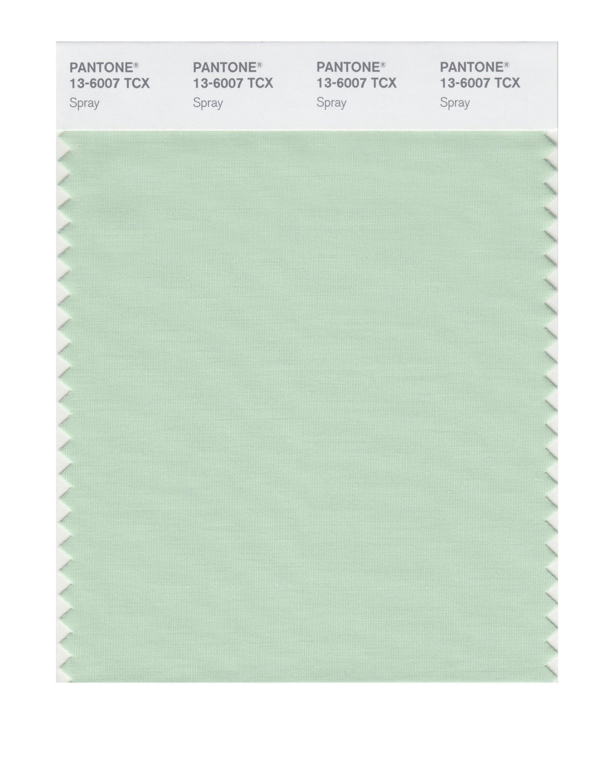 Pantone Cotton Swatch 13-6007 Spray