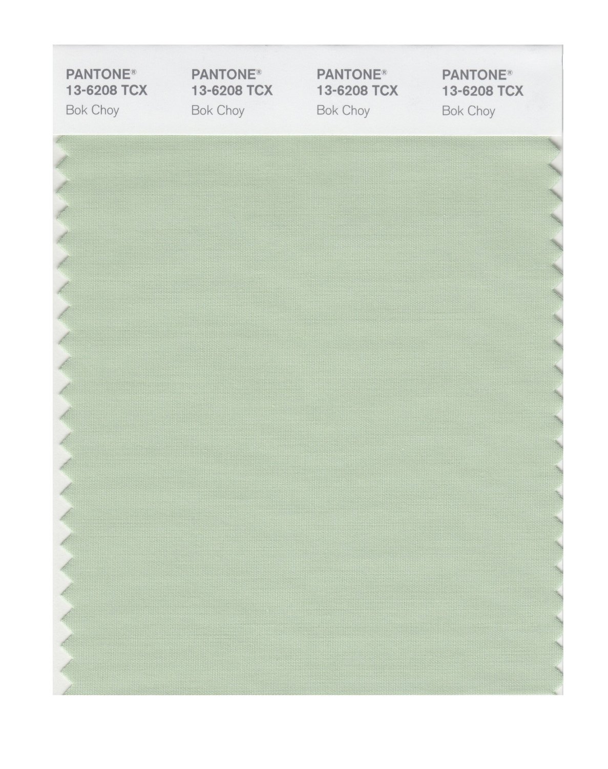 Pantone Cotton Swatch 13-6208 Bok Choy