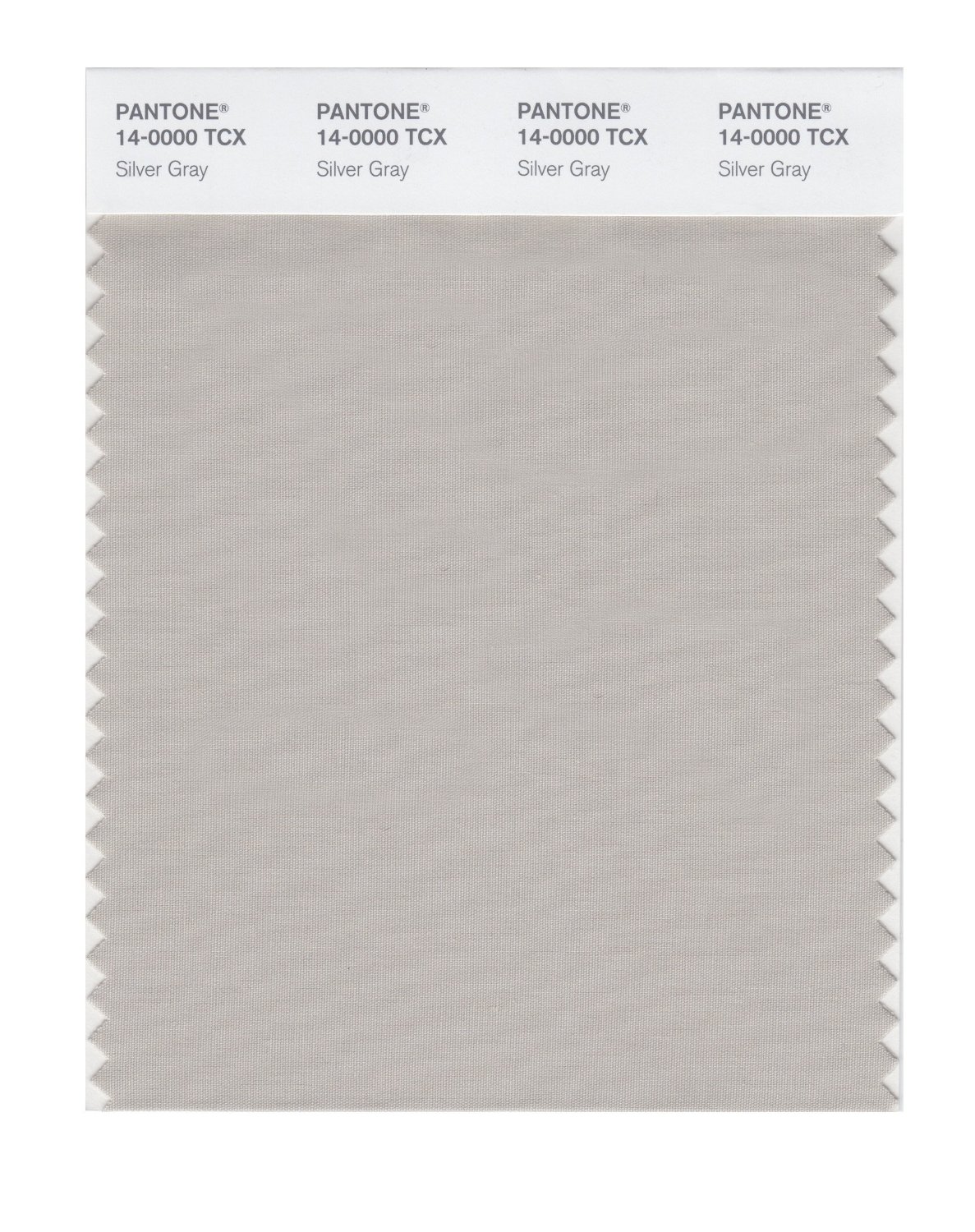 Pantone Cotton Swatch 14-0000 Silver Gray