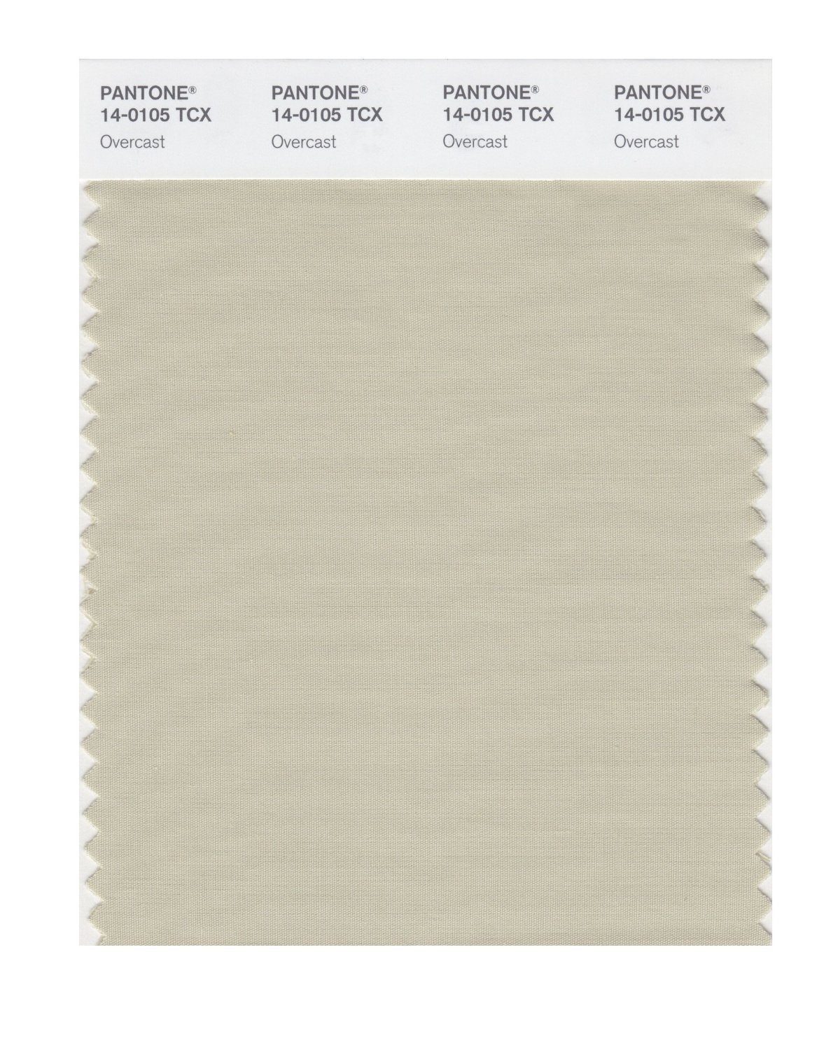 Pantone Cotton Swatch 14-0105 Overcast