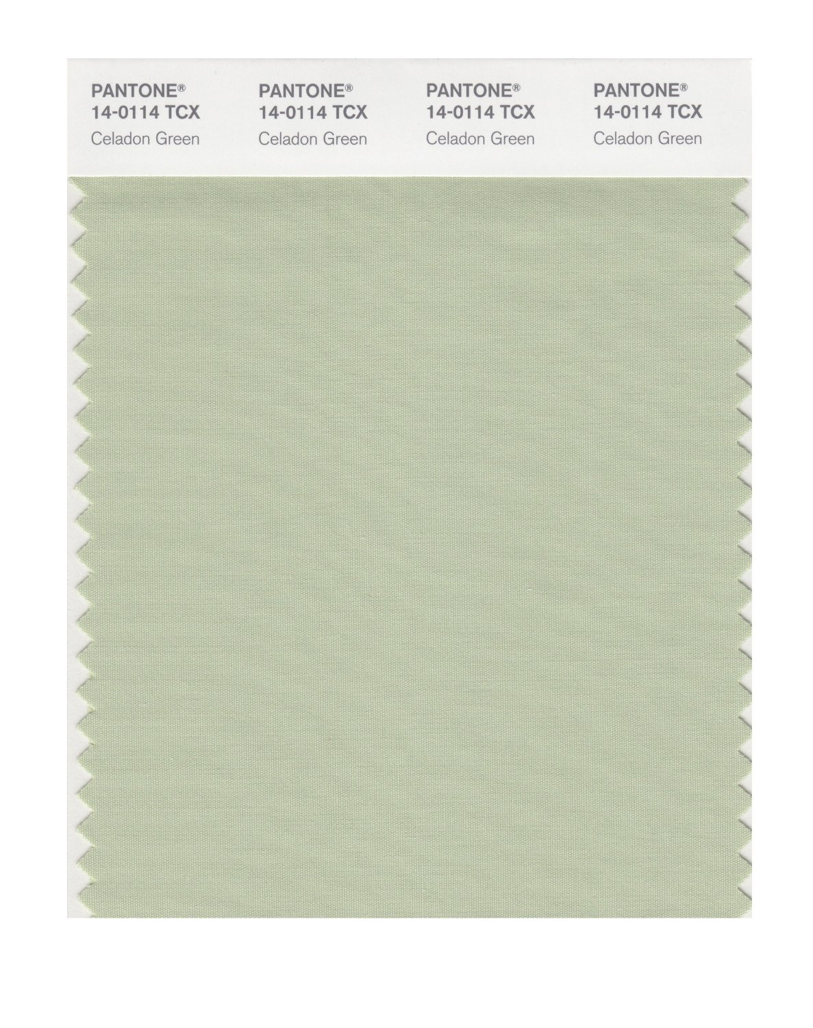 Pantone Cotton Swatch 14-0114 Celadon Green