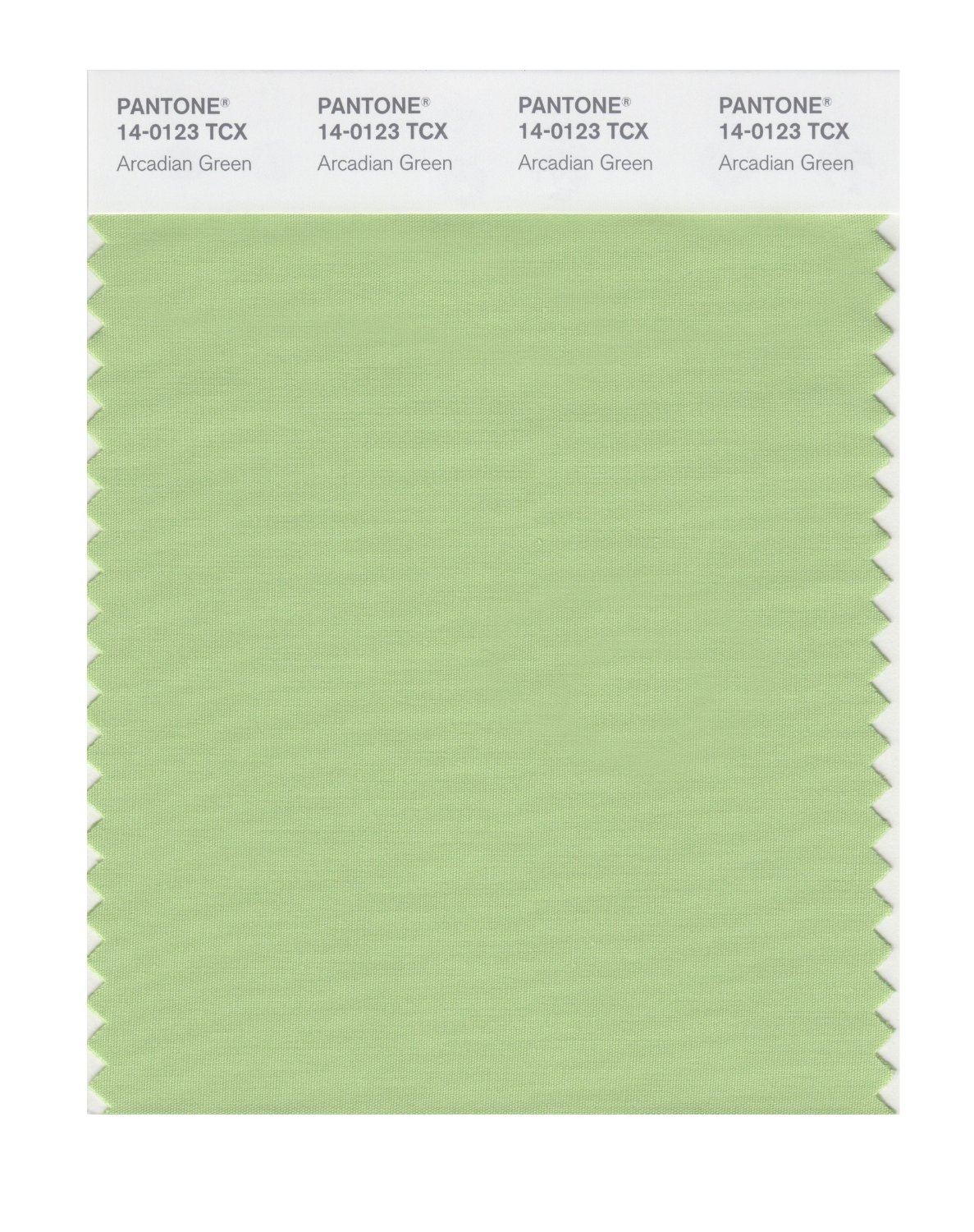 Pantone Cotton Swatch 14-0123 Arcadian Green