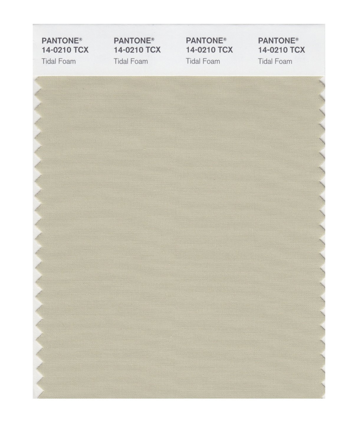 Pantone Cotton Swatch 14-0210 Tidal Foam